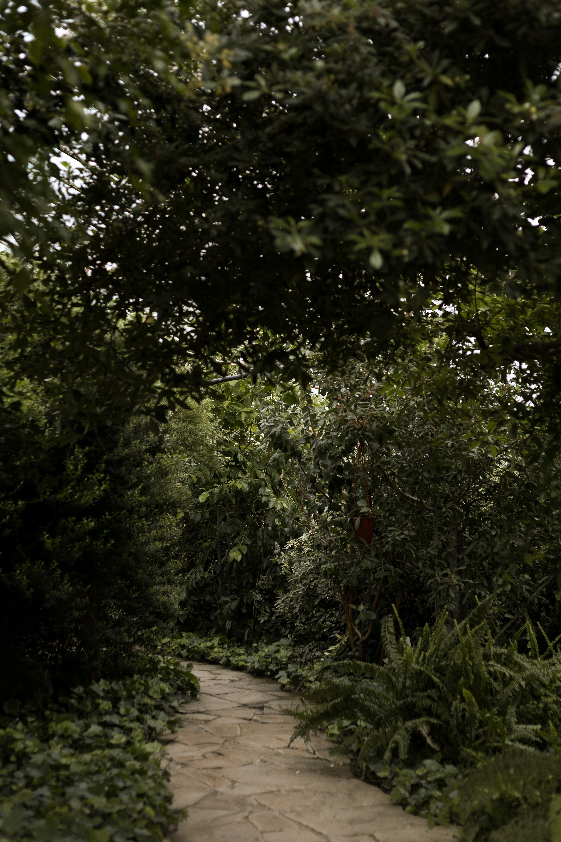 Свадебная фотосессия в оранжерее. Свадебный и семейный фотограф в Волгограде Кристина Иванова