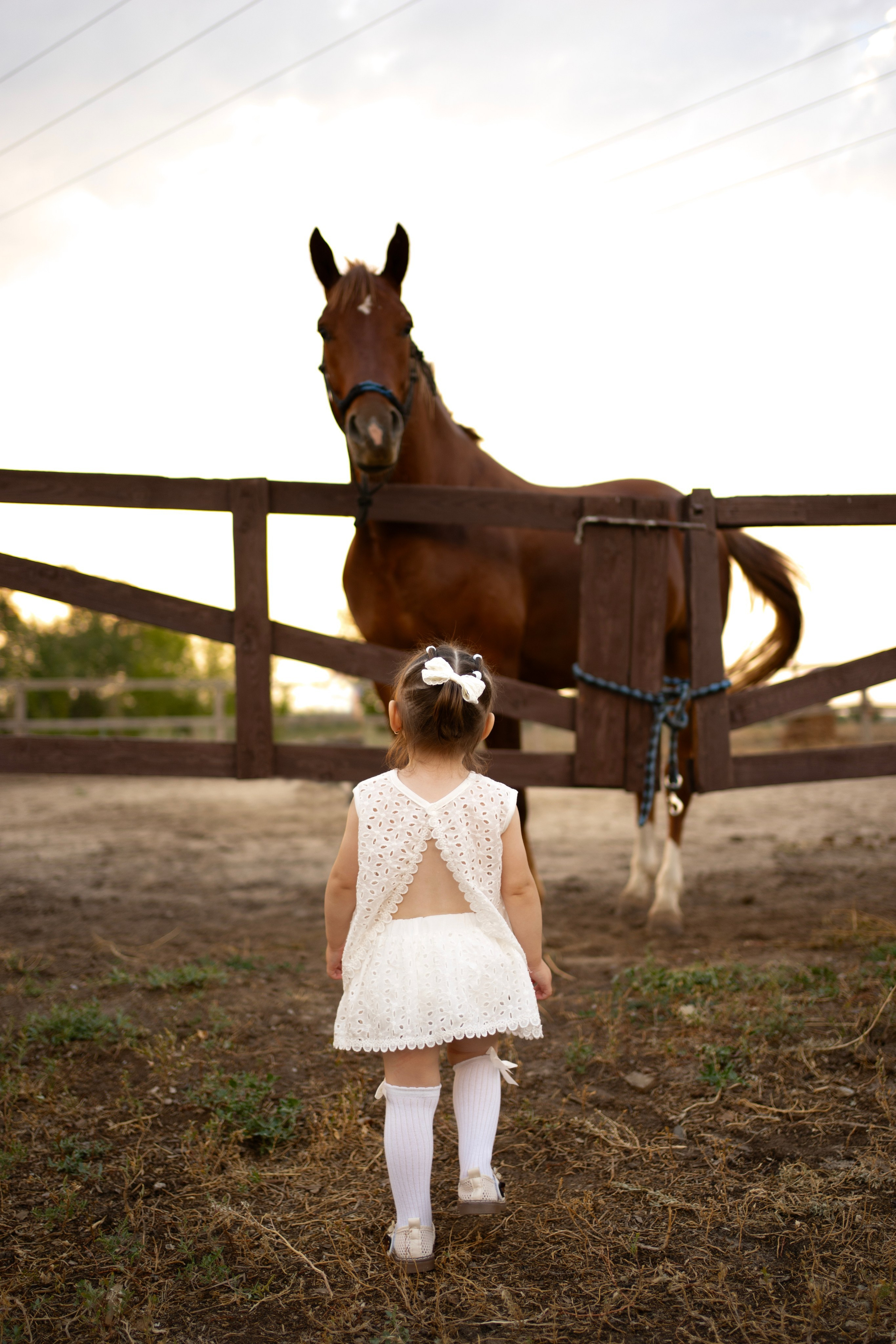 Семейная. Фотограф Новошахтинск|Ростов, Дарья Секрий