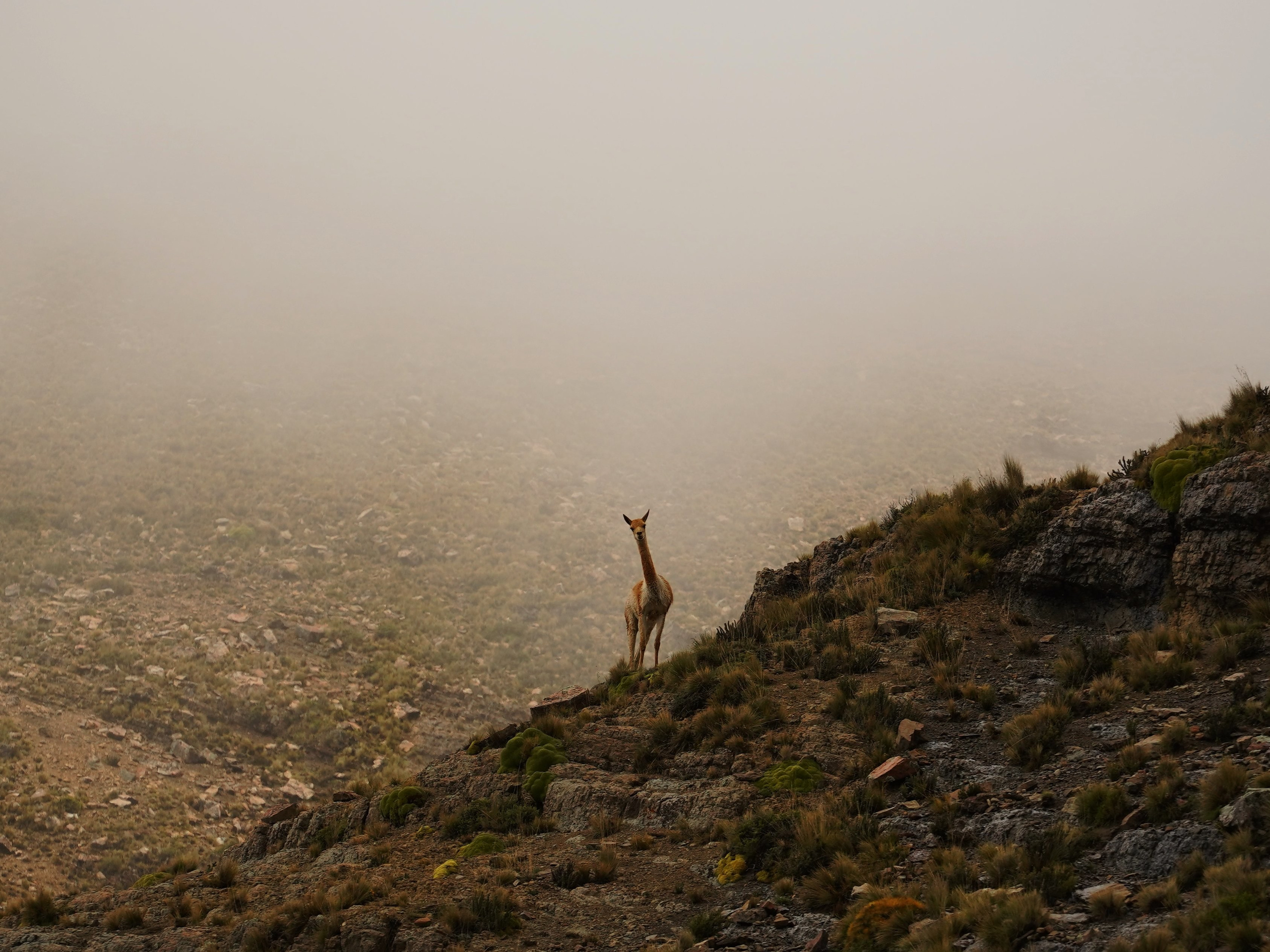 Купить фотографию пейзажа для интерьера