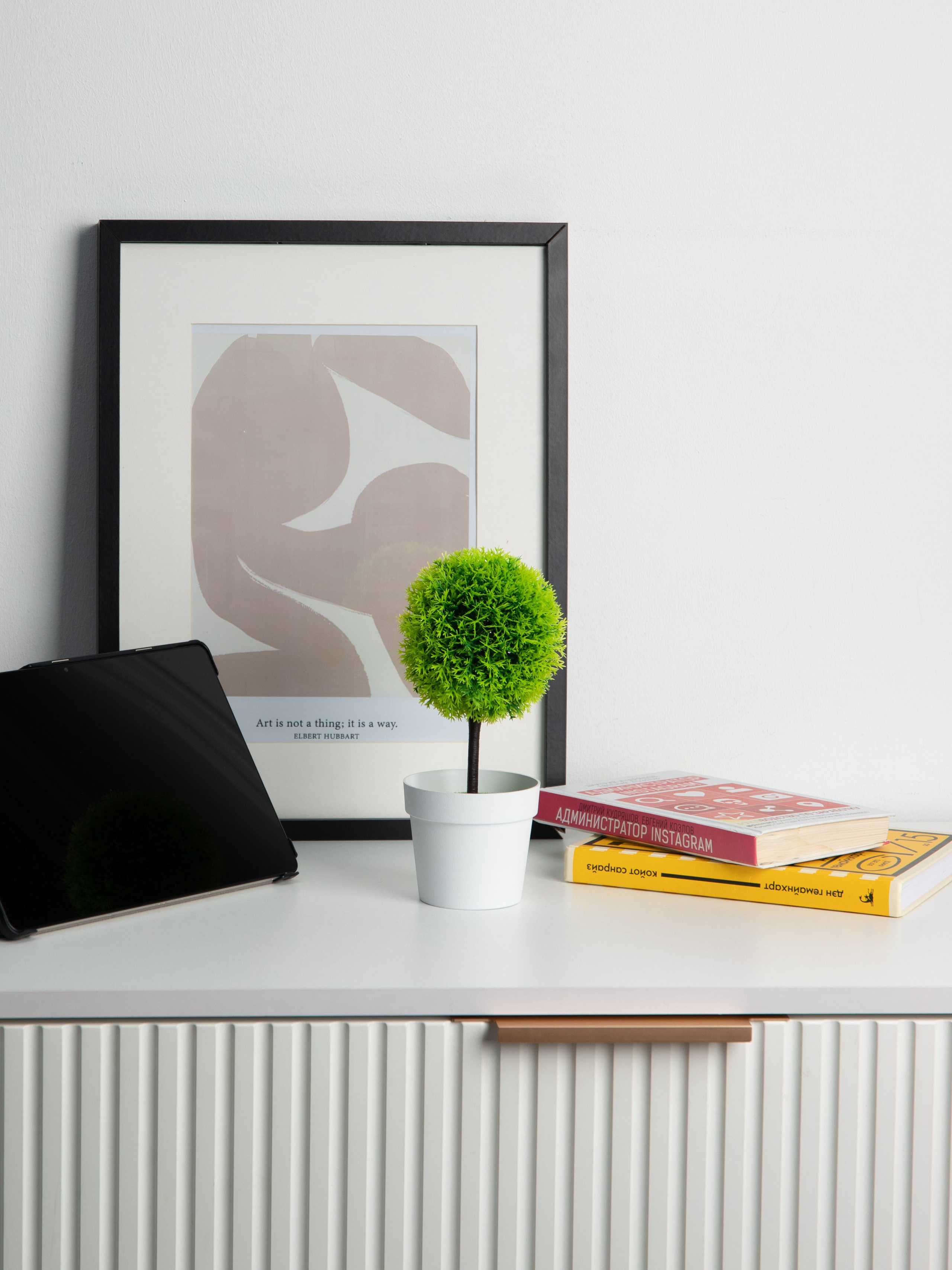 Декоративные деревья. Коммерческий фотограф в Санкт-Петербурге (СПб) Екатерина Панчёха, Панчёшка