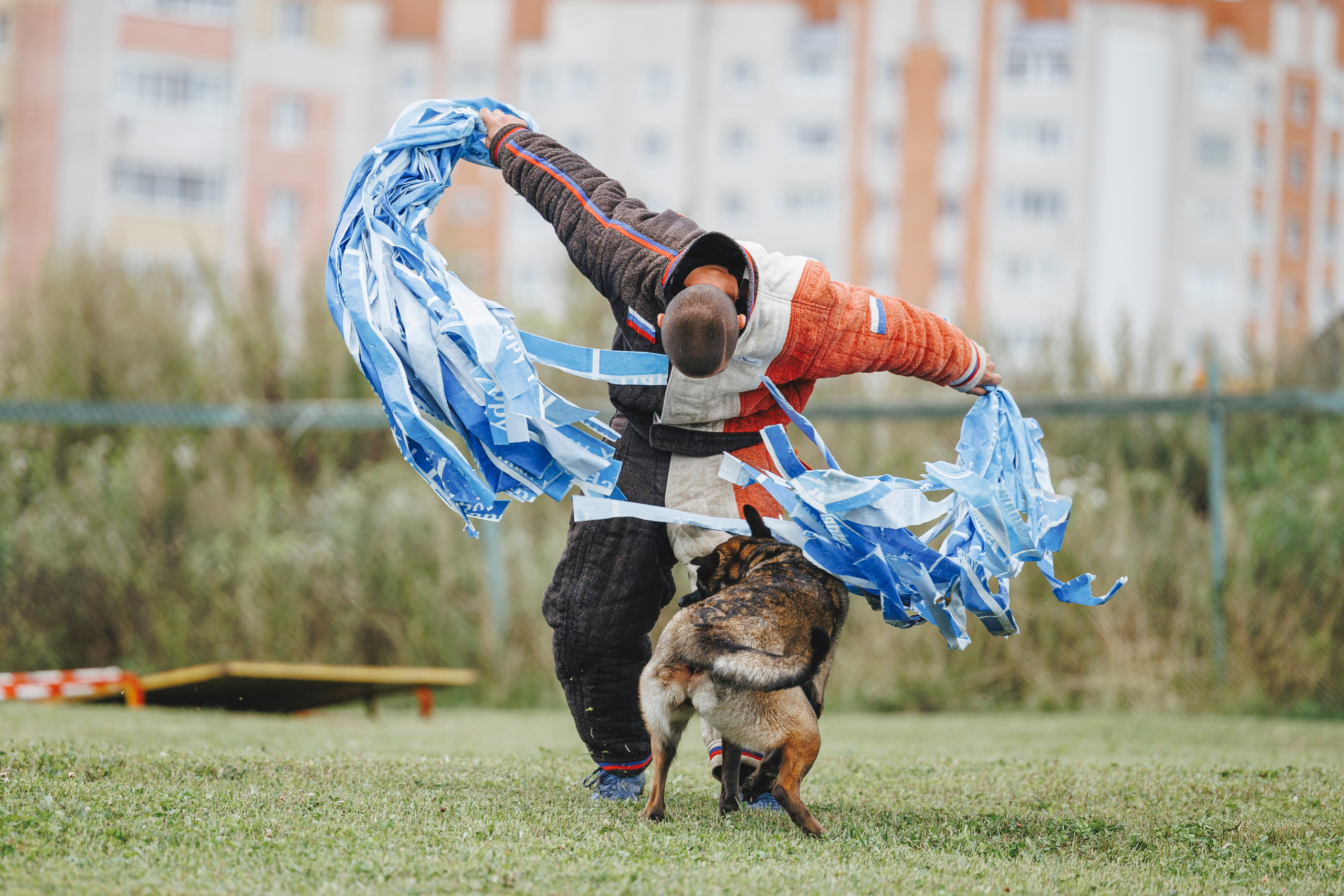 08.08.25-10.08.25 ЧР по мондьорингу г. Вологда. Фотограф-анималист Анна Маринич