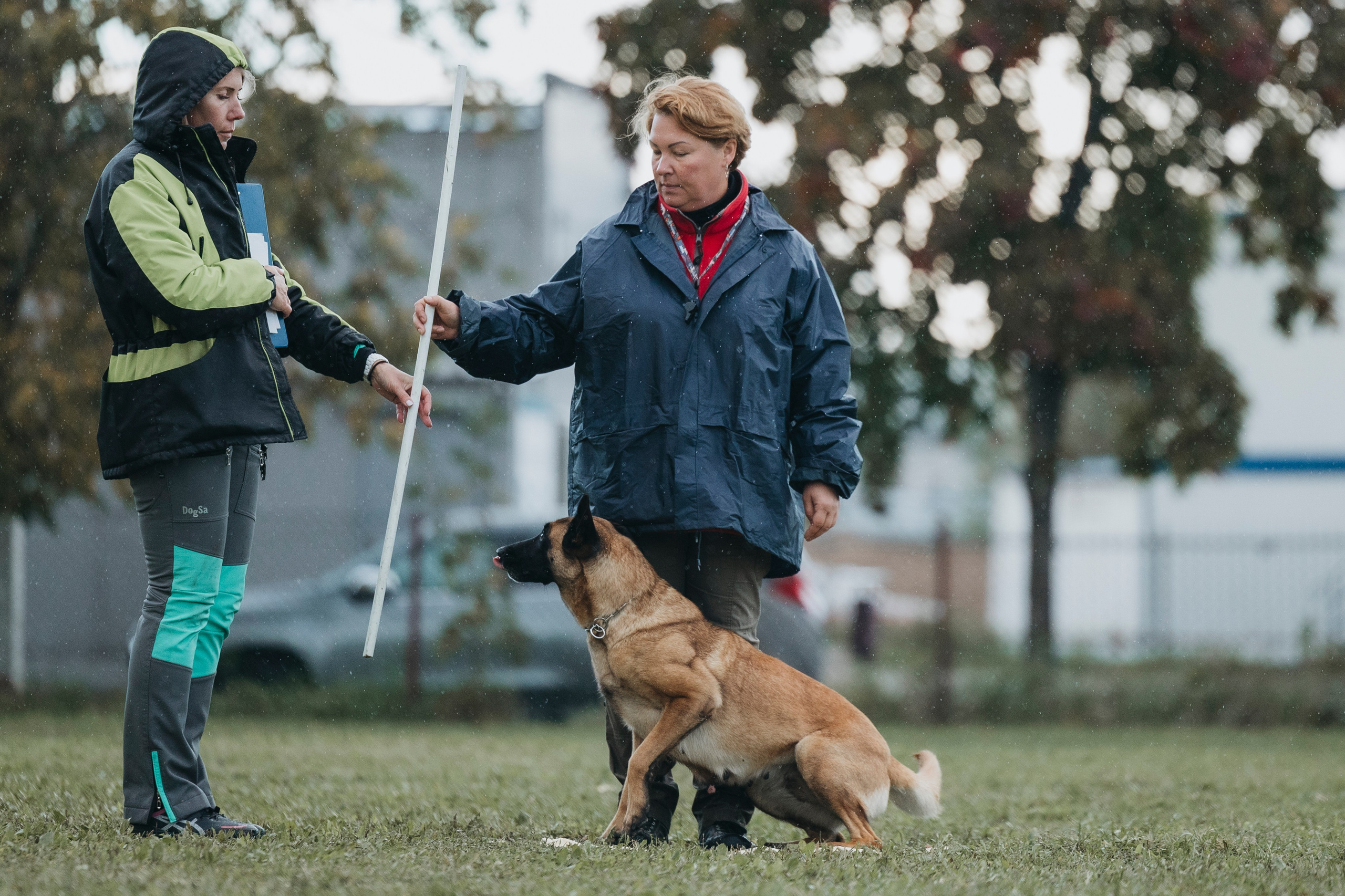 Испытания по мондьорингу г. Пушкин 29.09.2024. Фотограф-анималист Анна Маринич