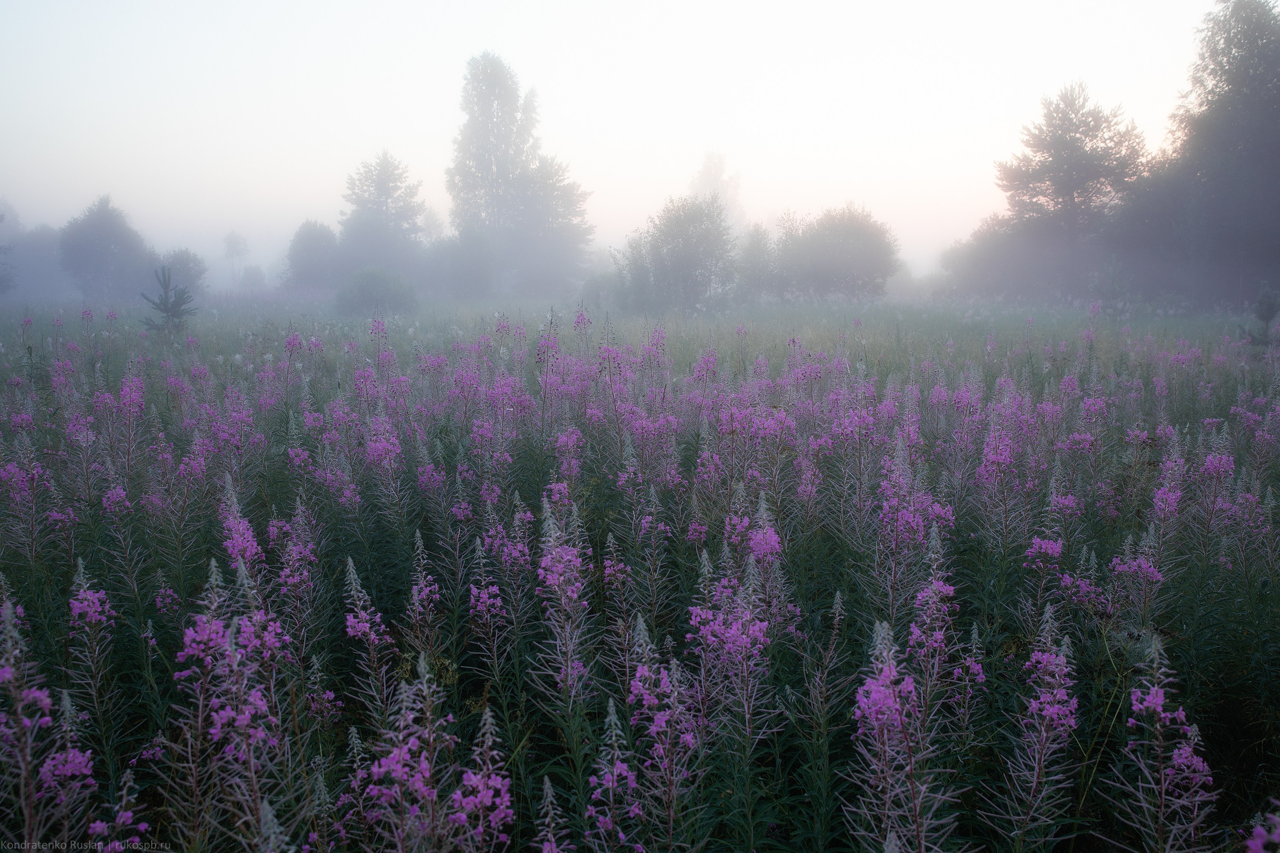 Ленинградская область. Архитектурный и пейзажный фотограф Кондратенко Руслан, Санкт-Петербург