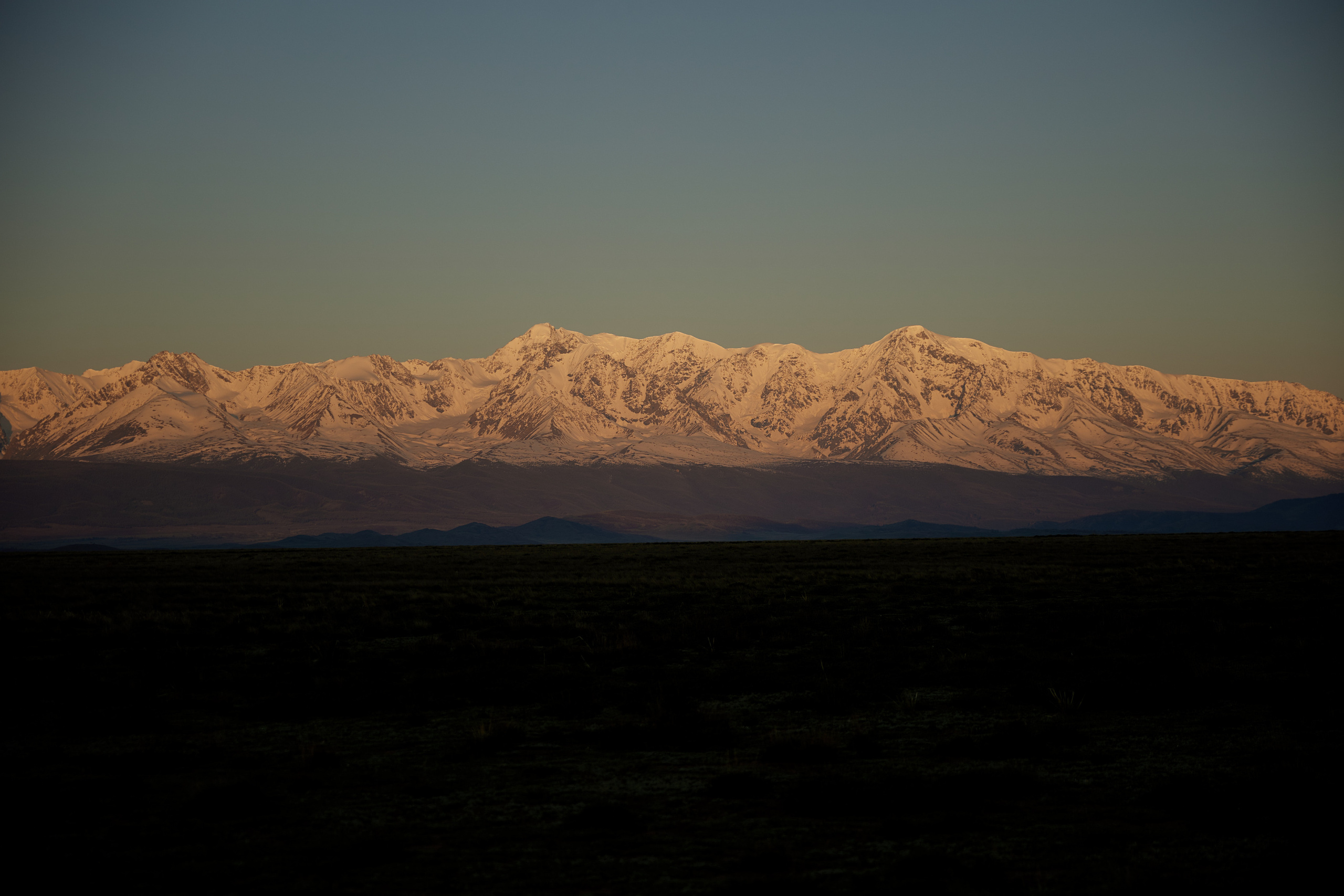 …В Курайской степи. Профессиональный фотограф Светлана Писарева