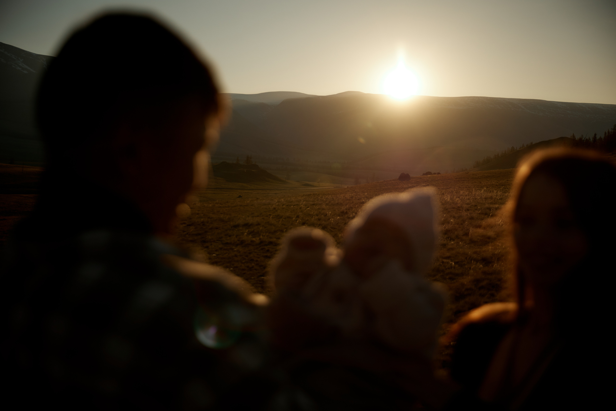 …В Курайской степи. Профессиональный фотограф Светлана Писарева