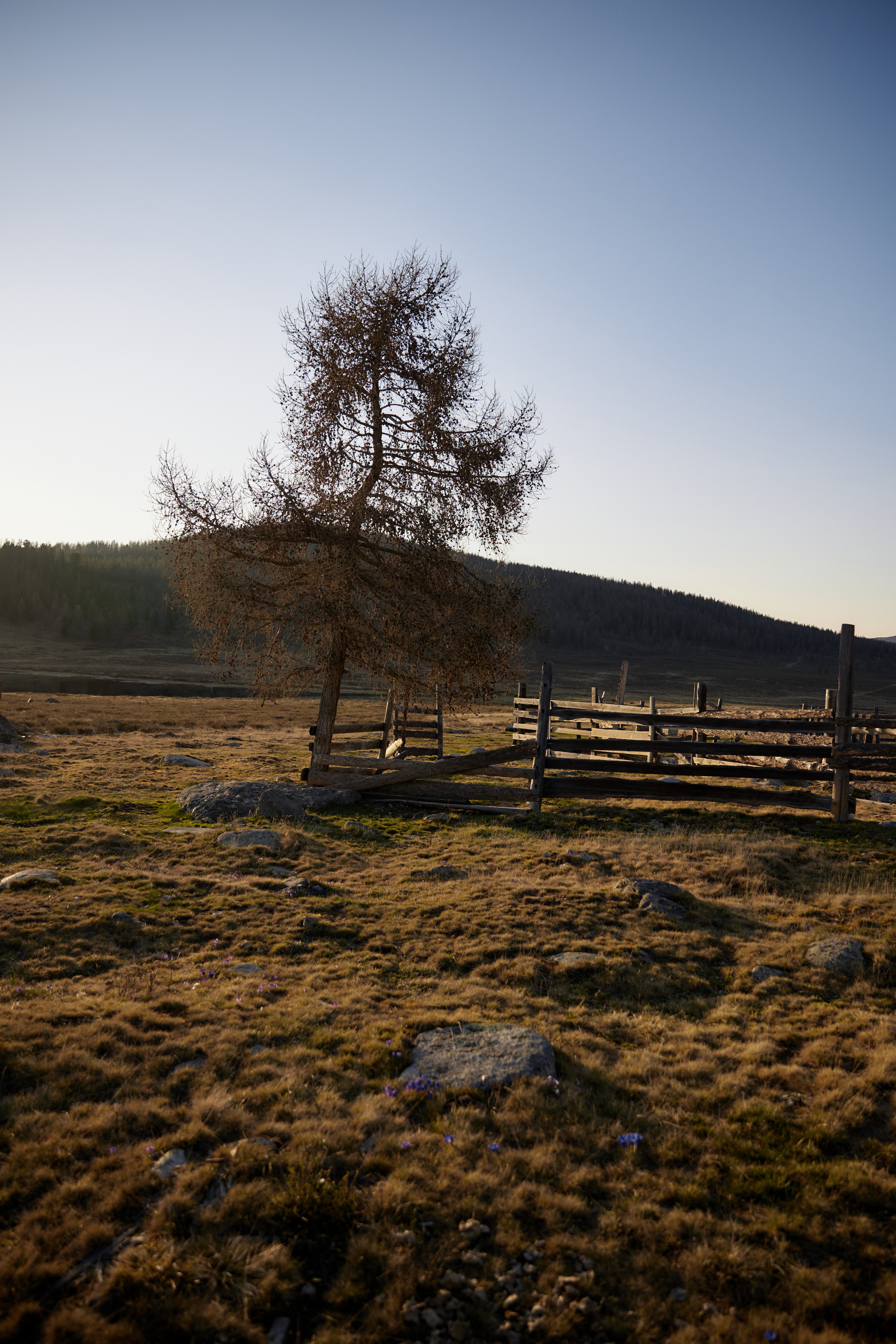 Где ледники встречаются с солнцем…. Профессиональный фотограф Светлана Писарева