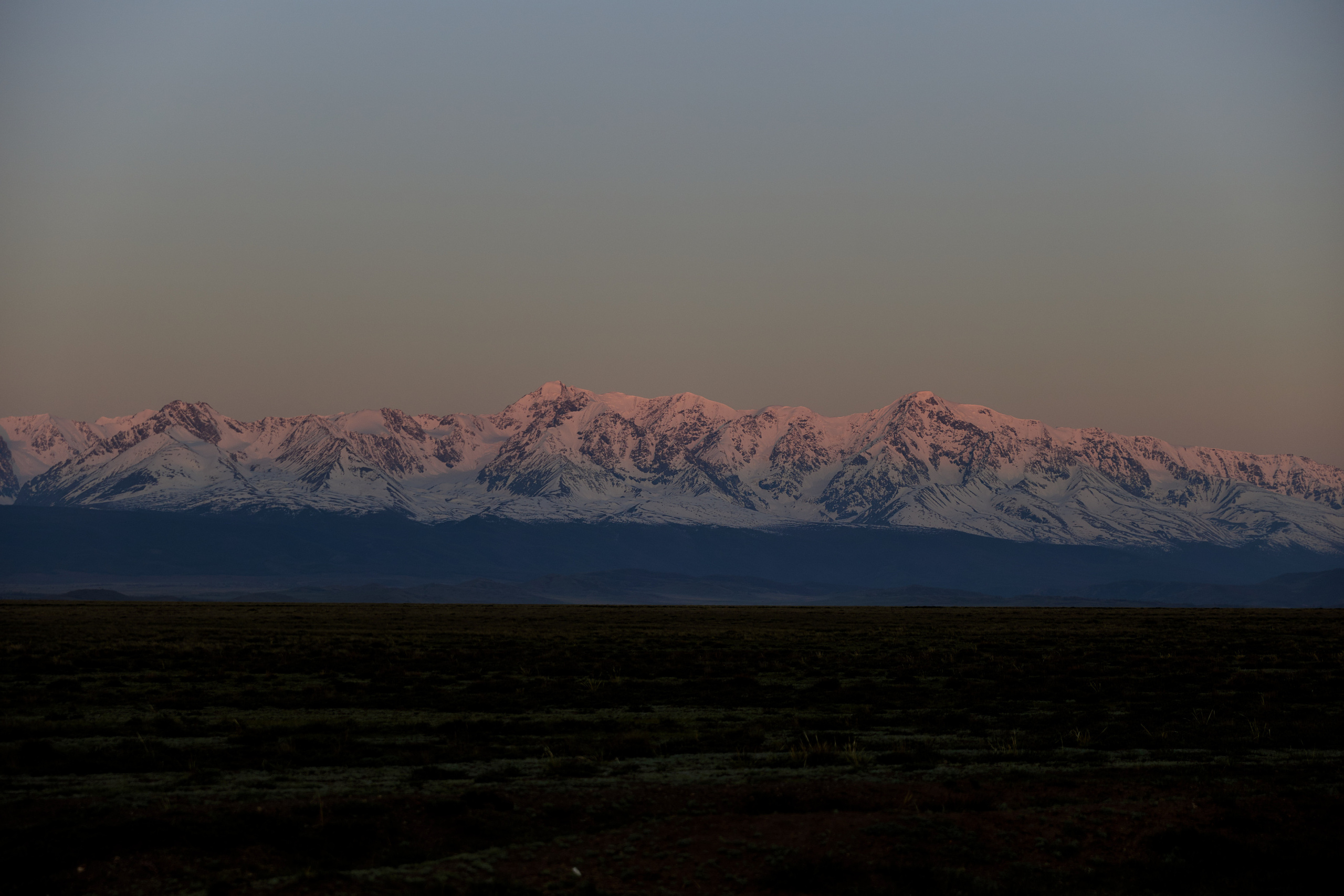 …В Курайской степи. Профессиональный фотограф Светлана Писарева