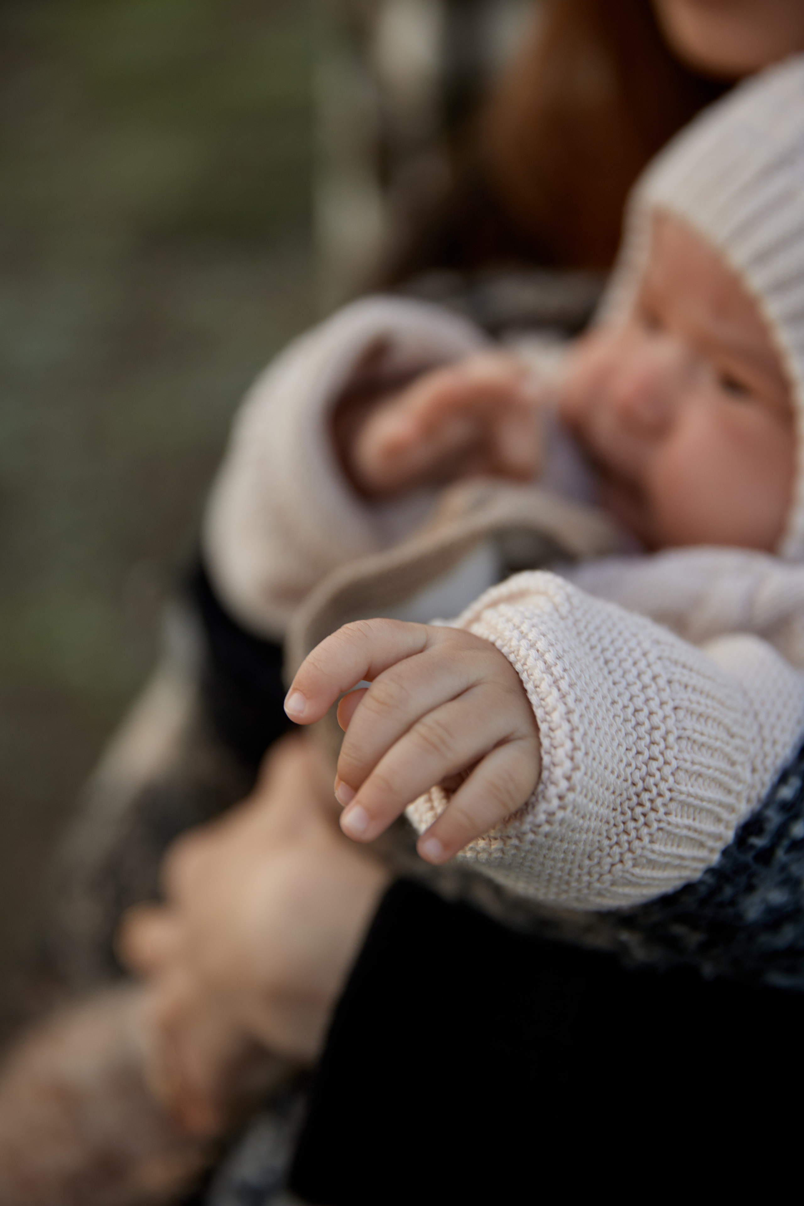 …В Курайской степи. Профессиональный фотограф Светлана Писарева