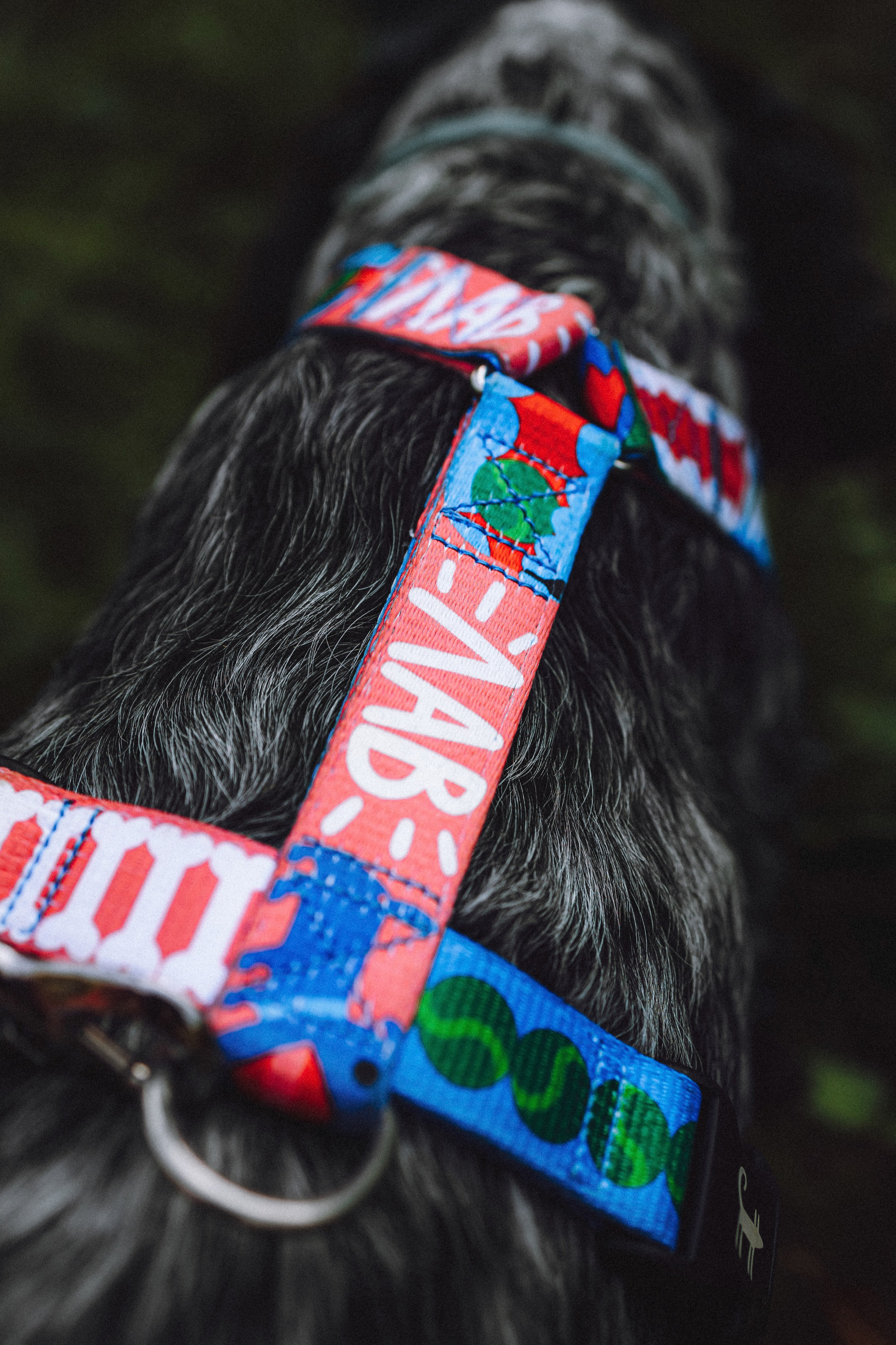 Маша и Ларри