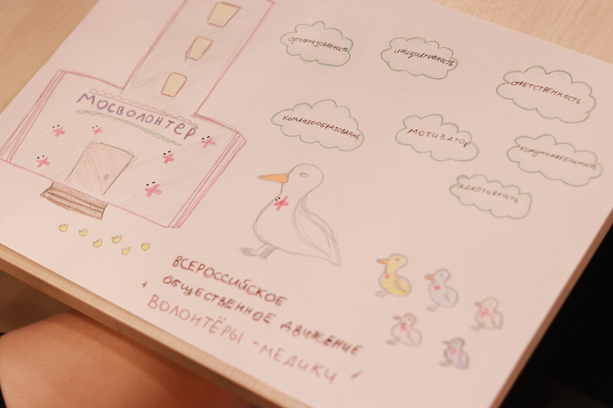 Обучение в рамках проекта «Школа волонтера- медика». Репортажный фотограф в Москве и Зеленограде Karina-vozd