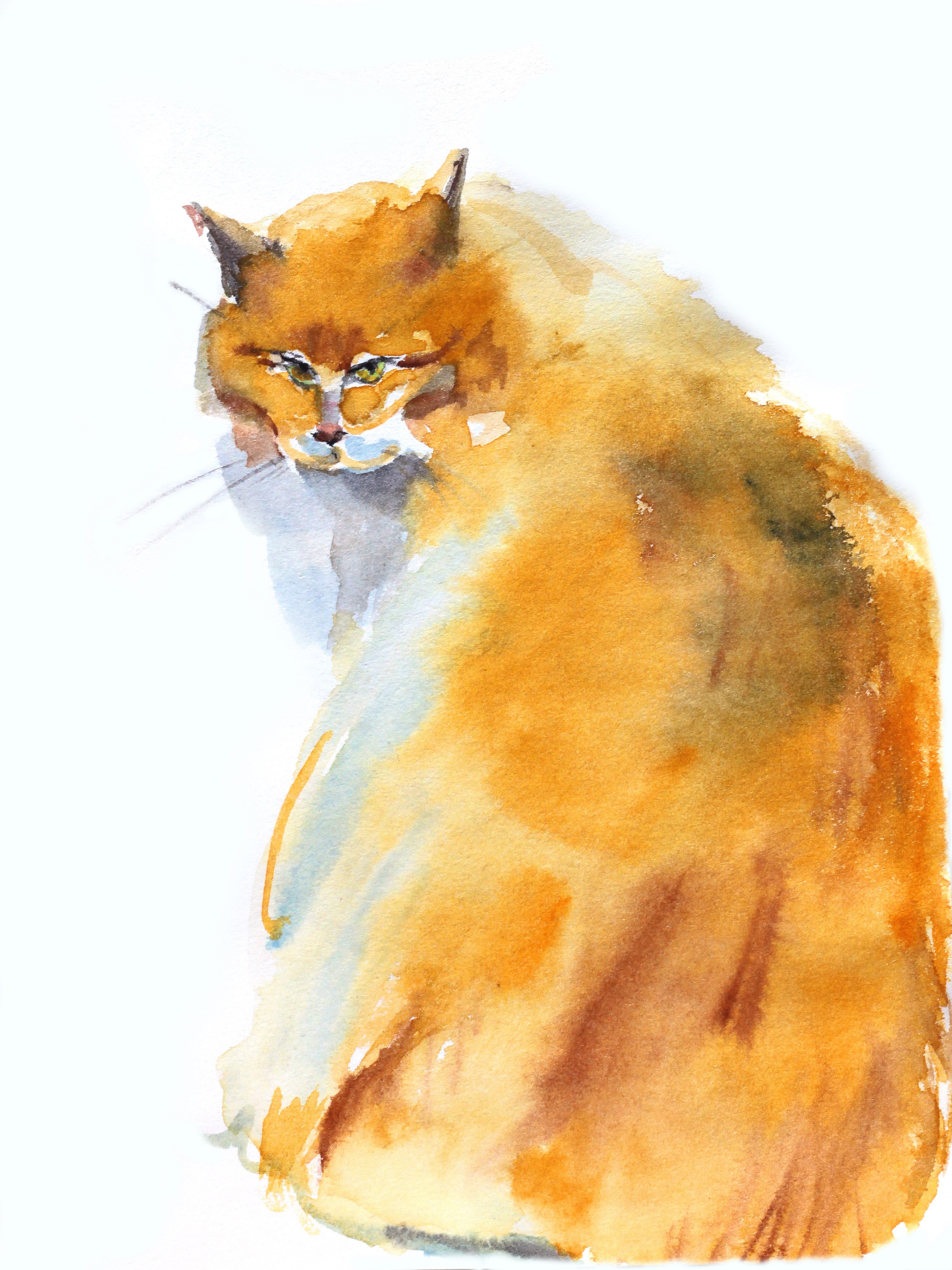 Акварельный блокнот. Художник Екатерина Морозова в Санкт-Петербурге