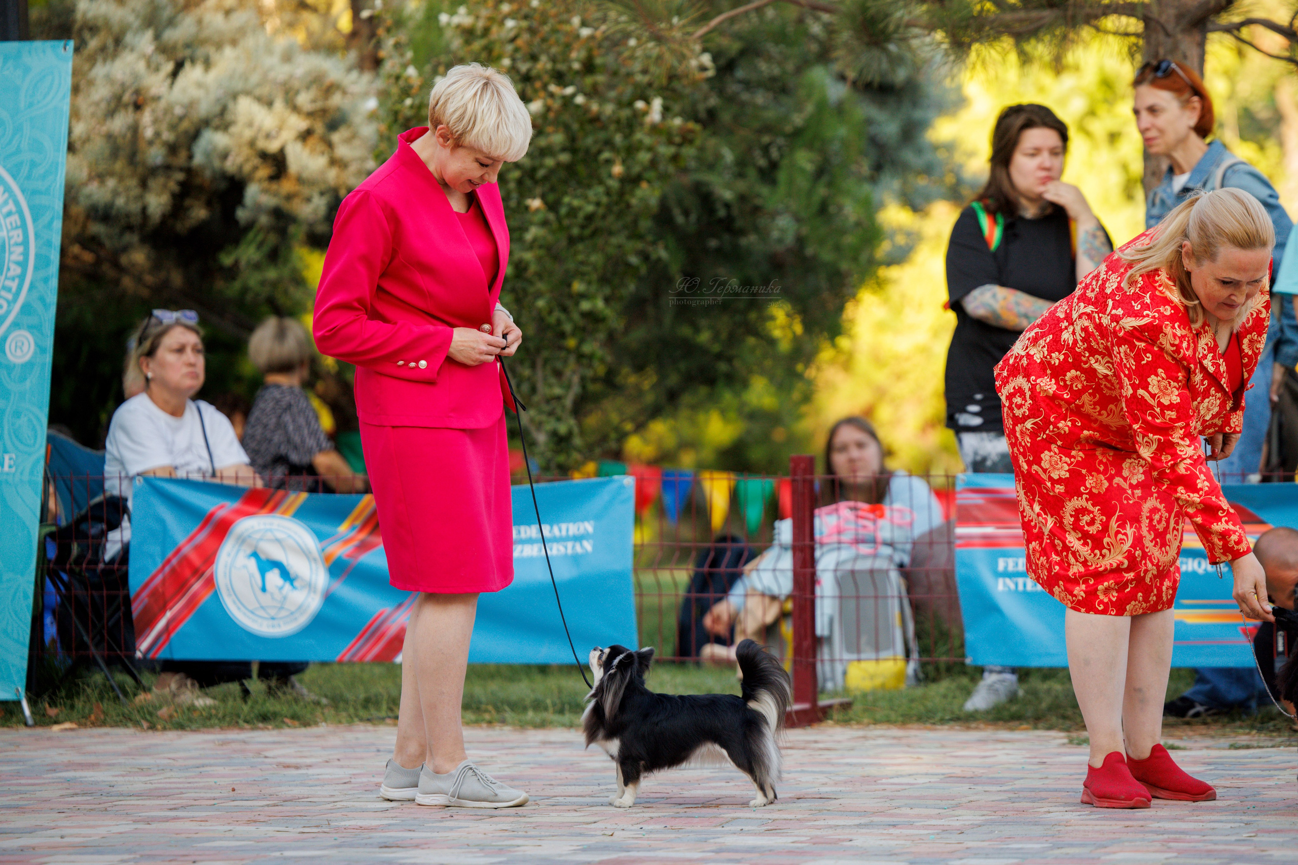 Ташкент 3хCACIB 3-5.10.2025. Фотограф-анималист Юлия Германика