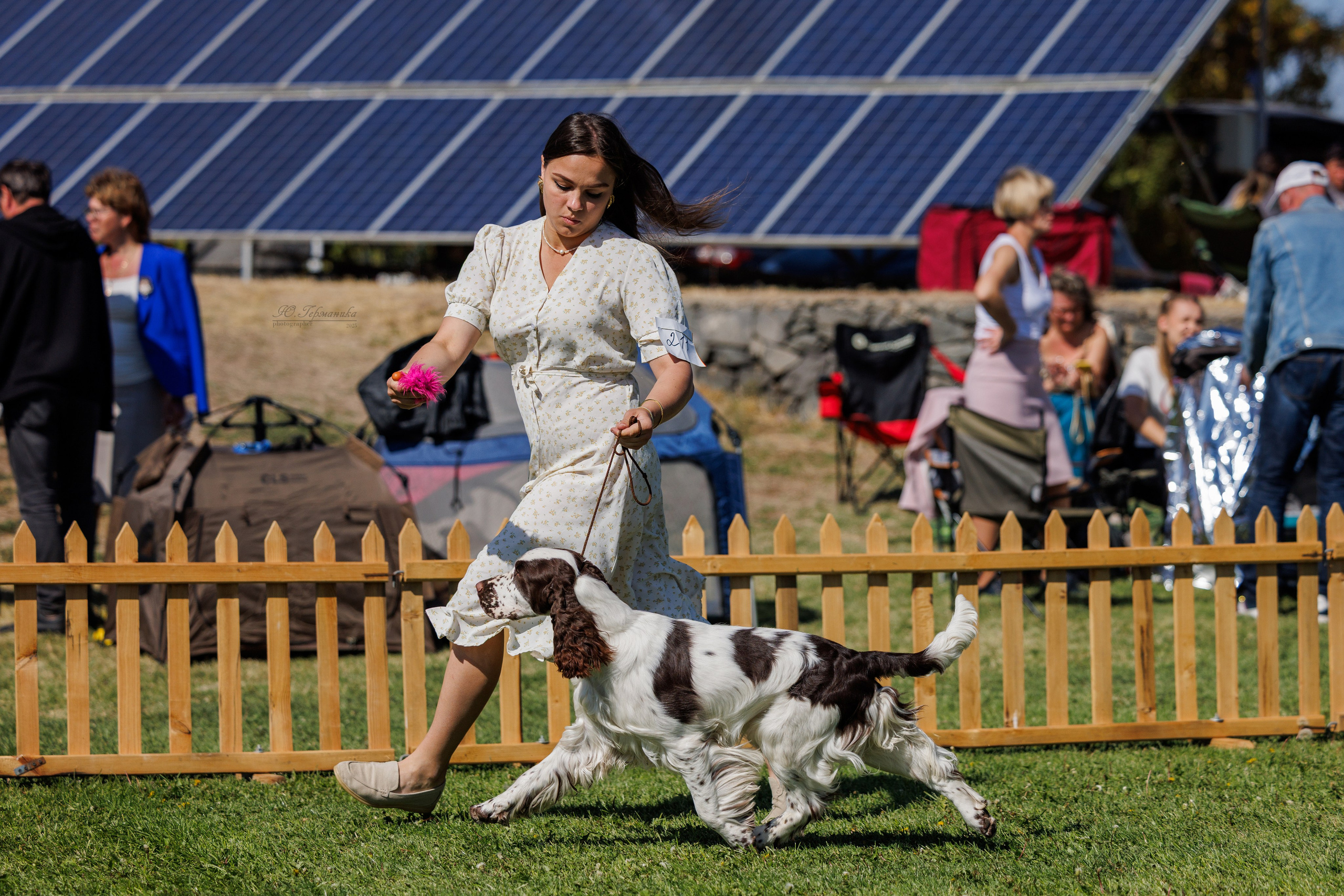 Ереван 14-16.10.2025. Фотограф-анималист Юлия Германика