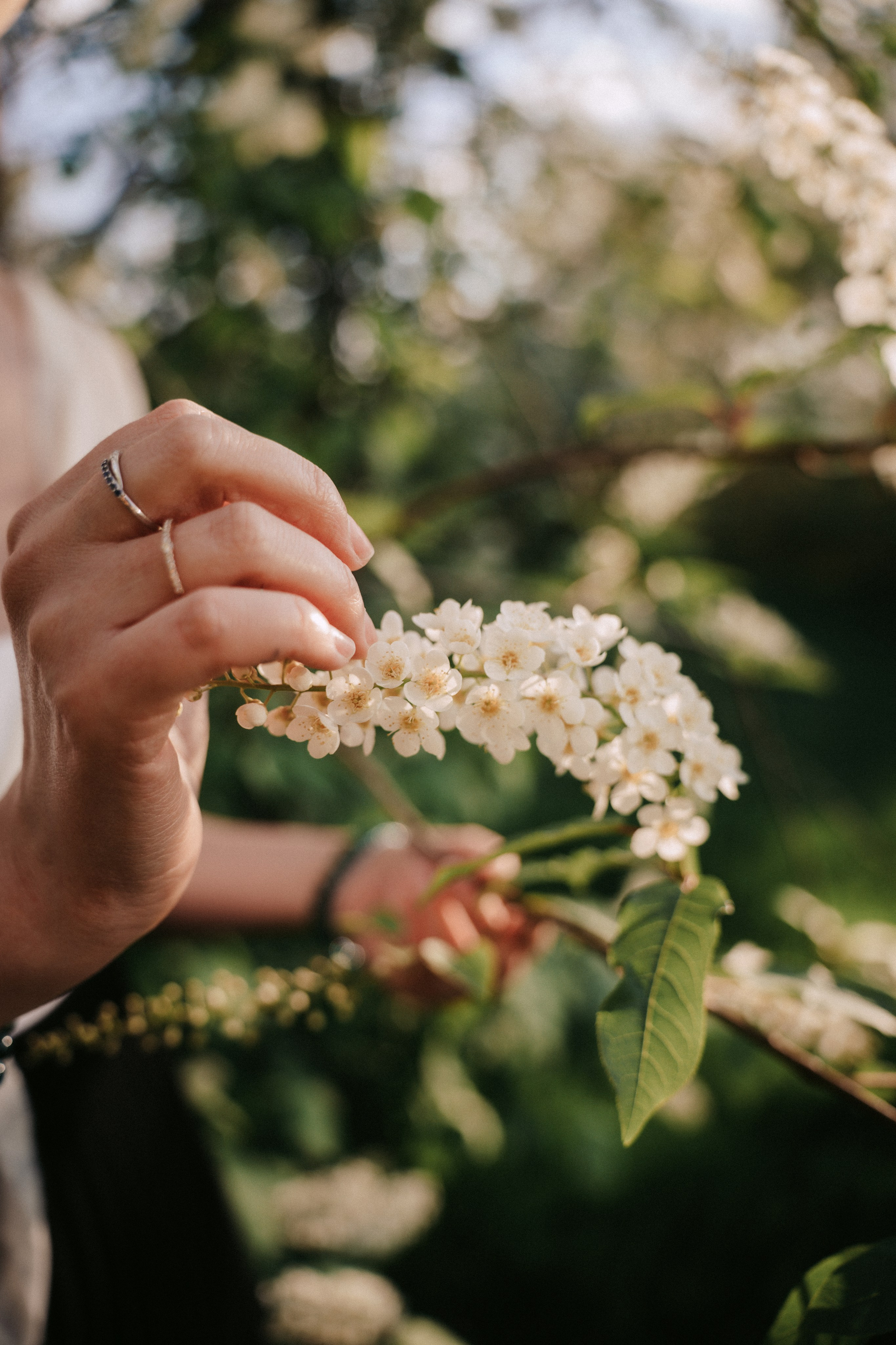 Алина. Главная