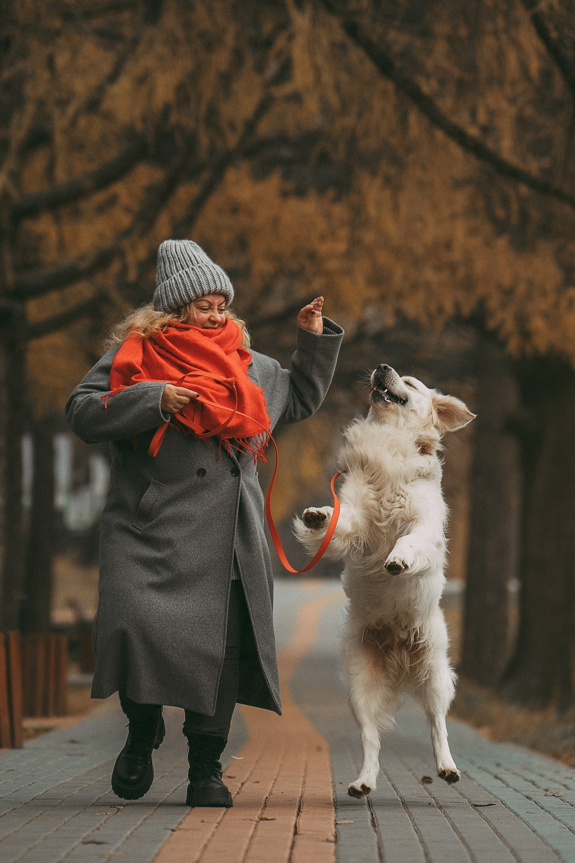 Лена и Мерлин. Фотограф анималист в Москве и Санкт-Петербурге Свиридова Анна