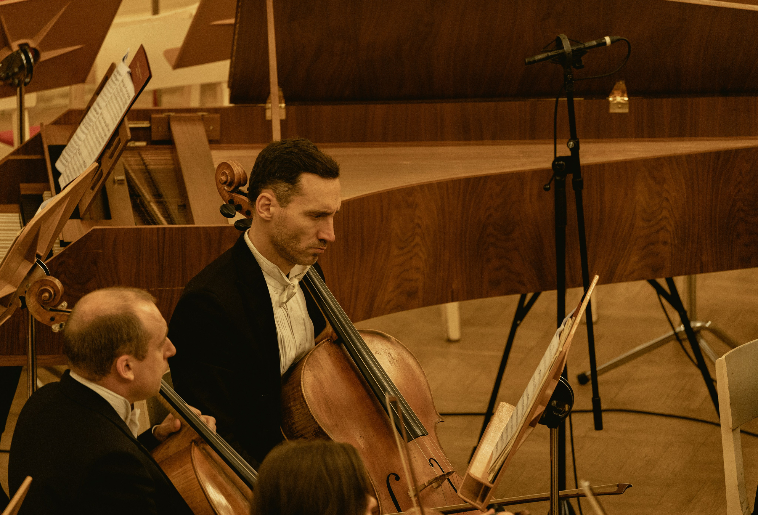 St. Petersburg Philharmonic Orchestra (Alexey Nyaga). Фотограф Ирина Соколенко Санкт-Петербург