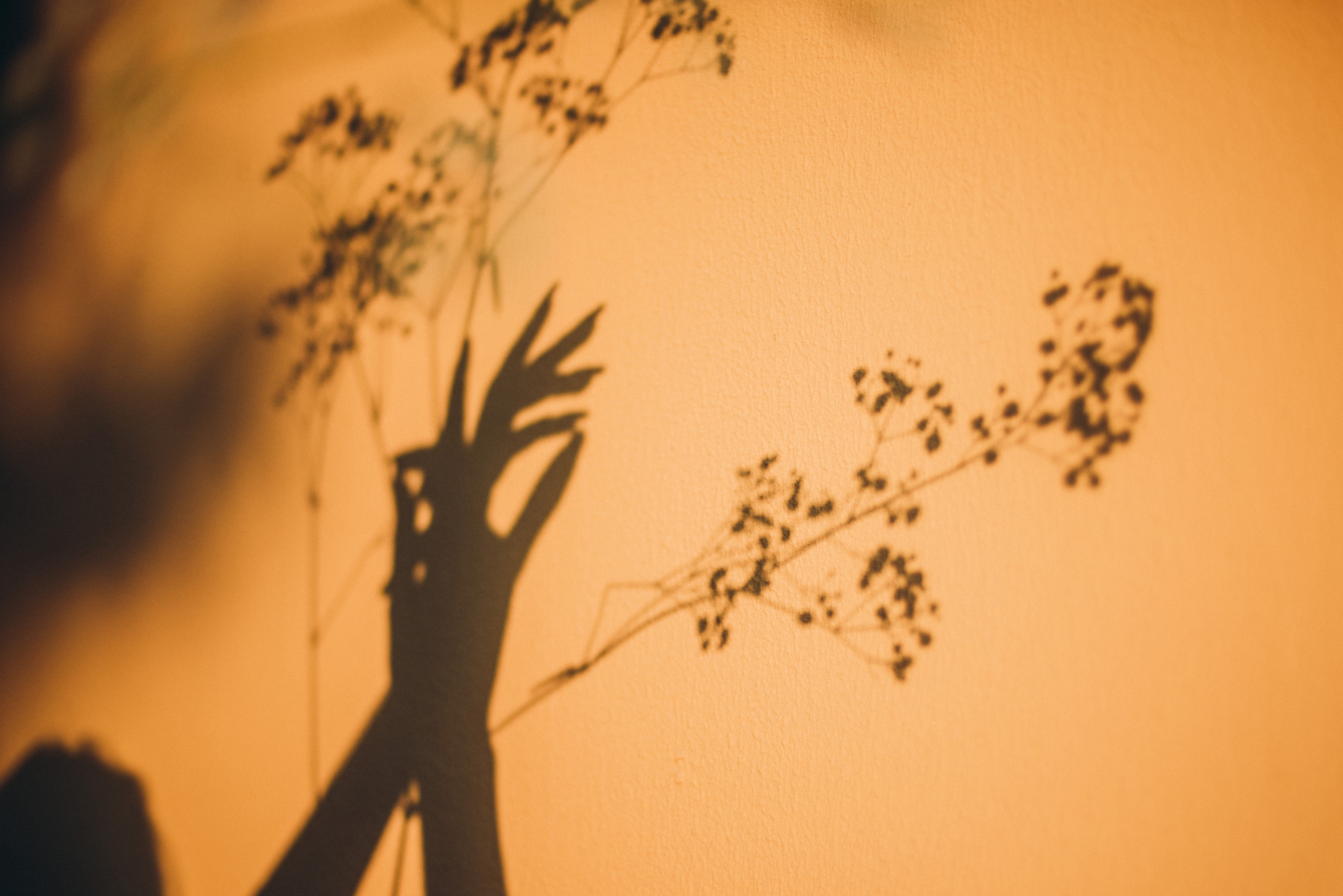 Фотосессия для Анастасии. Фотограф о любви в Перми Елена Кузовлева