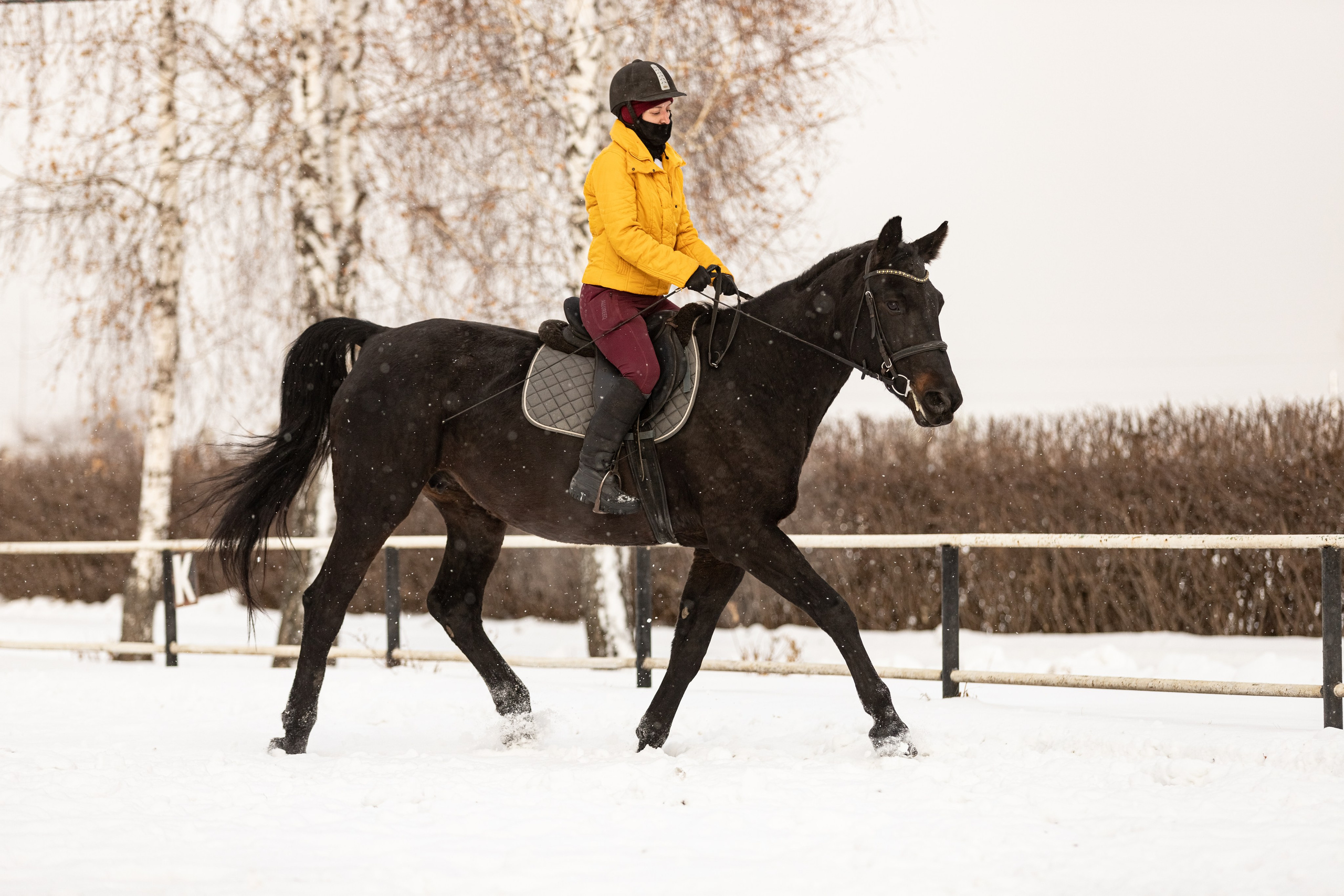 Для конников. Главная