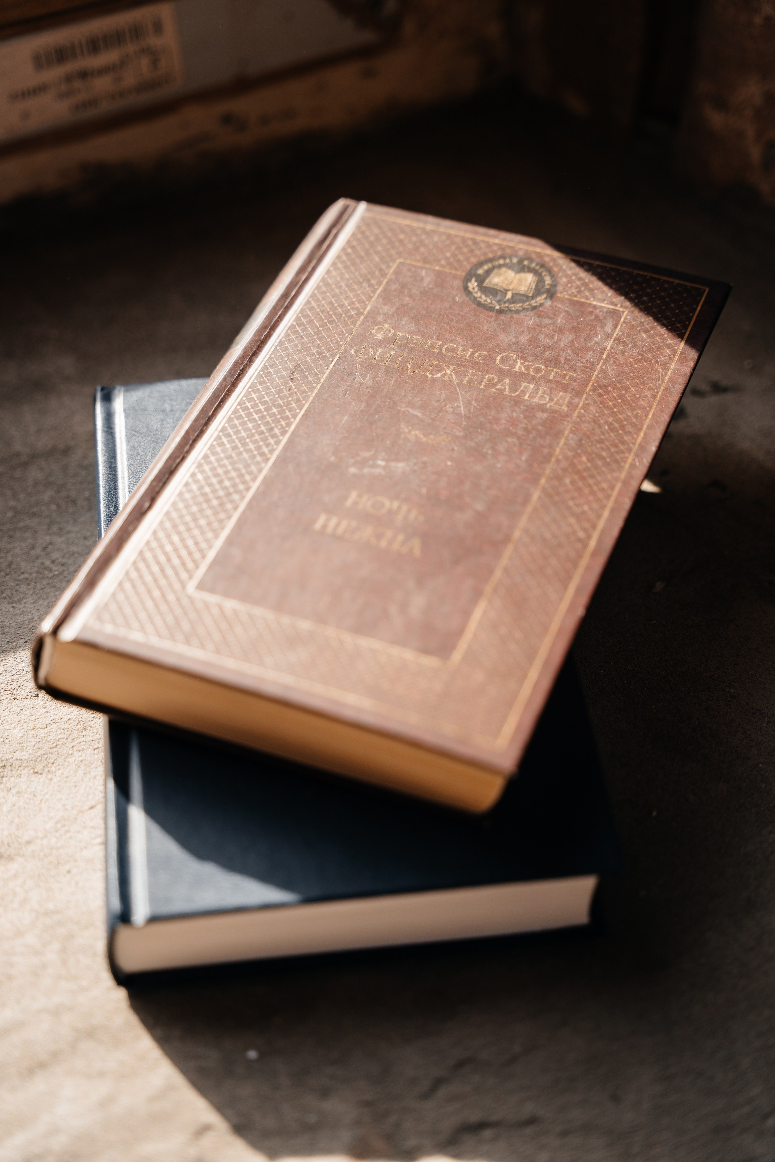 ПРОЕКТ ТЕОРИЯ. Свадебный фотограф Барнаул Алексей Павлов