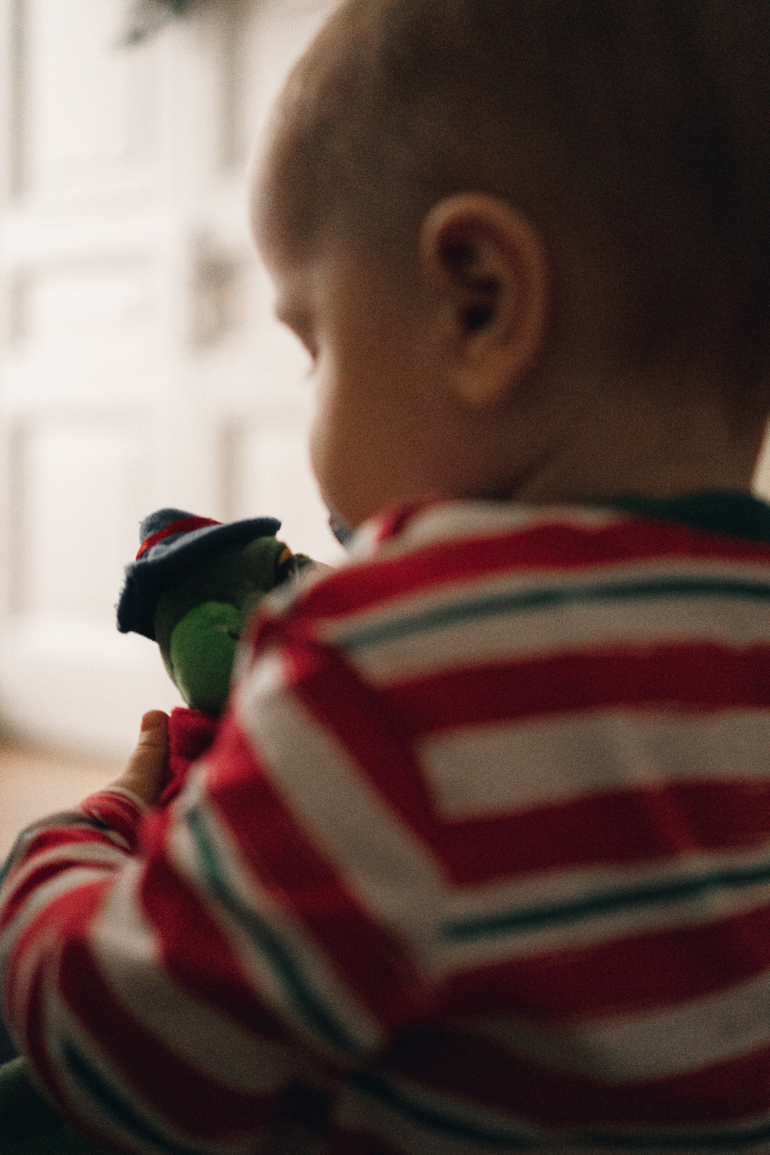 НОВОГОДНЯЯ В СТУДИИ. Профессиональный фотограф, Санкт-Петербург — Виктория Богомолова