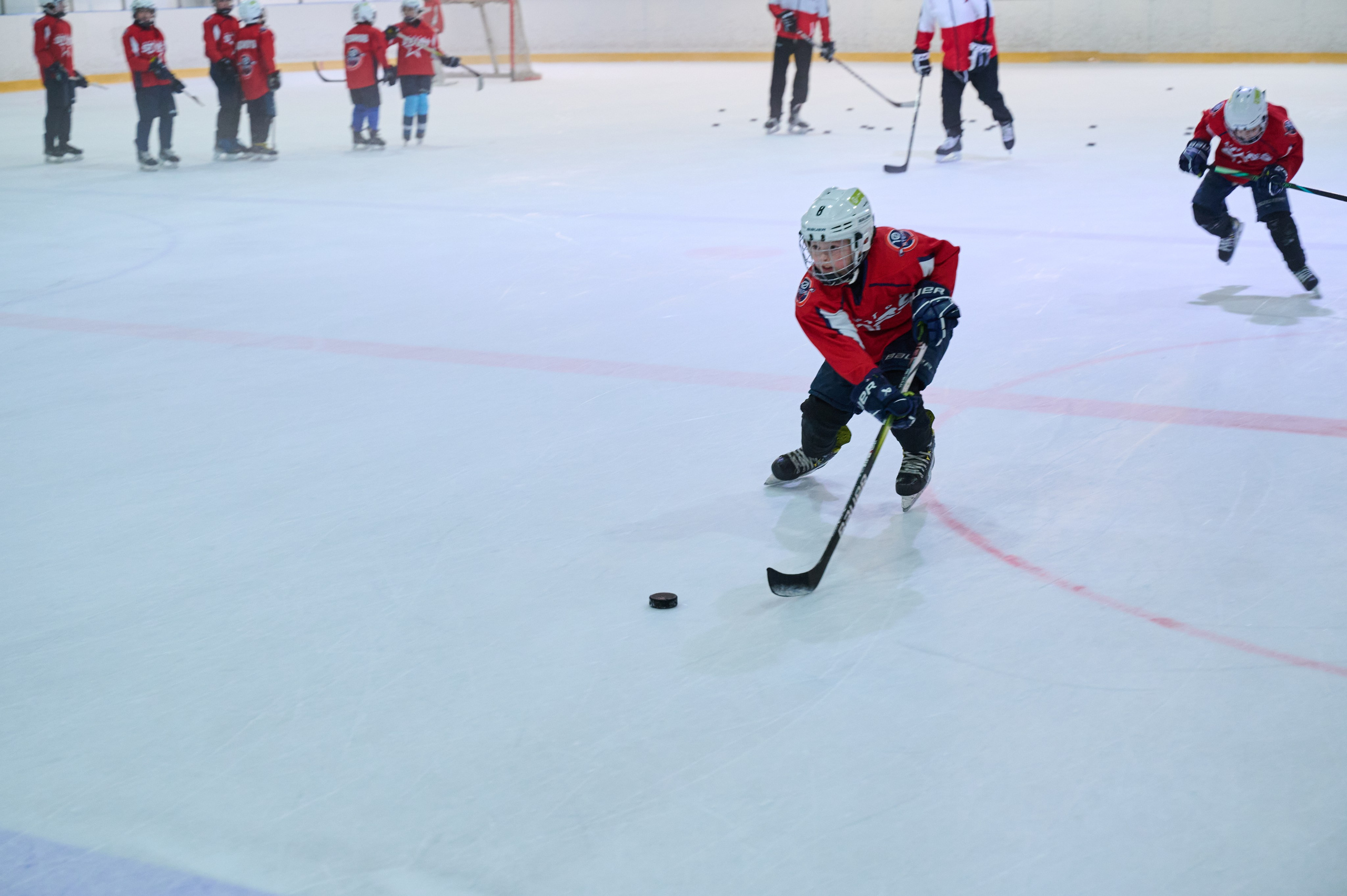 Boston Stars. Фотограф Универсал в Новосибирске