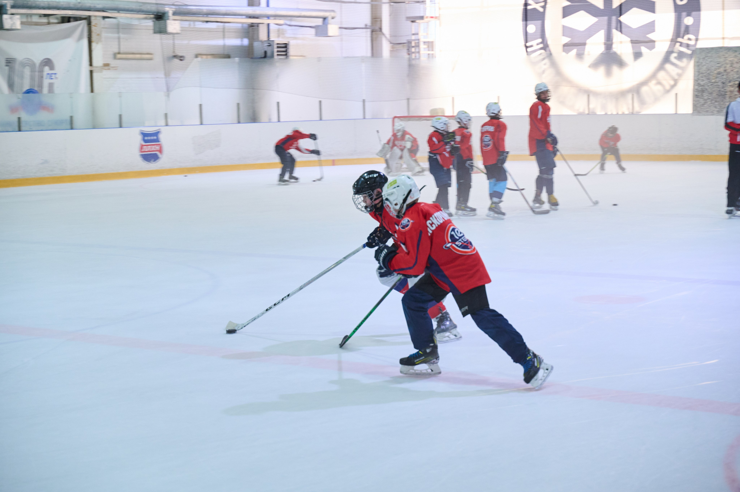 Boston Stars. Фотограф Универсал в Новосибирске