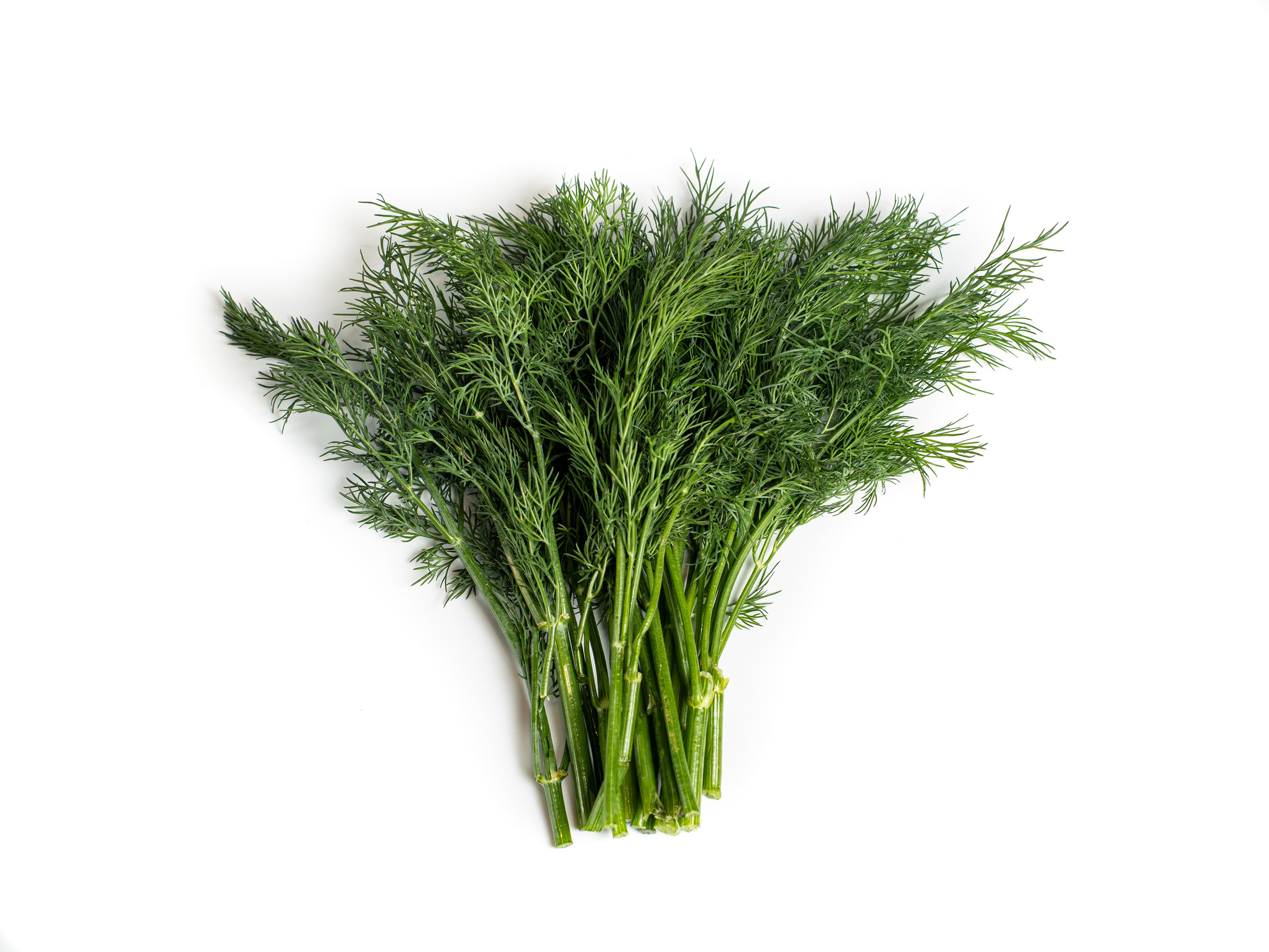 Яндекс Маркет. Предметный и фуд-фотограф в Москве Анна Царенко