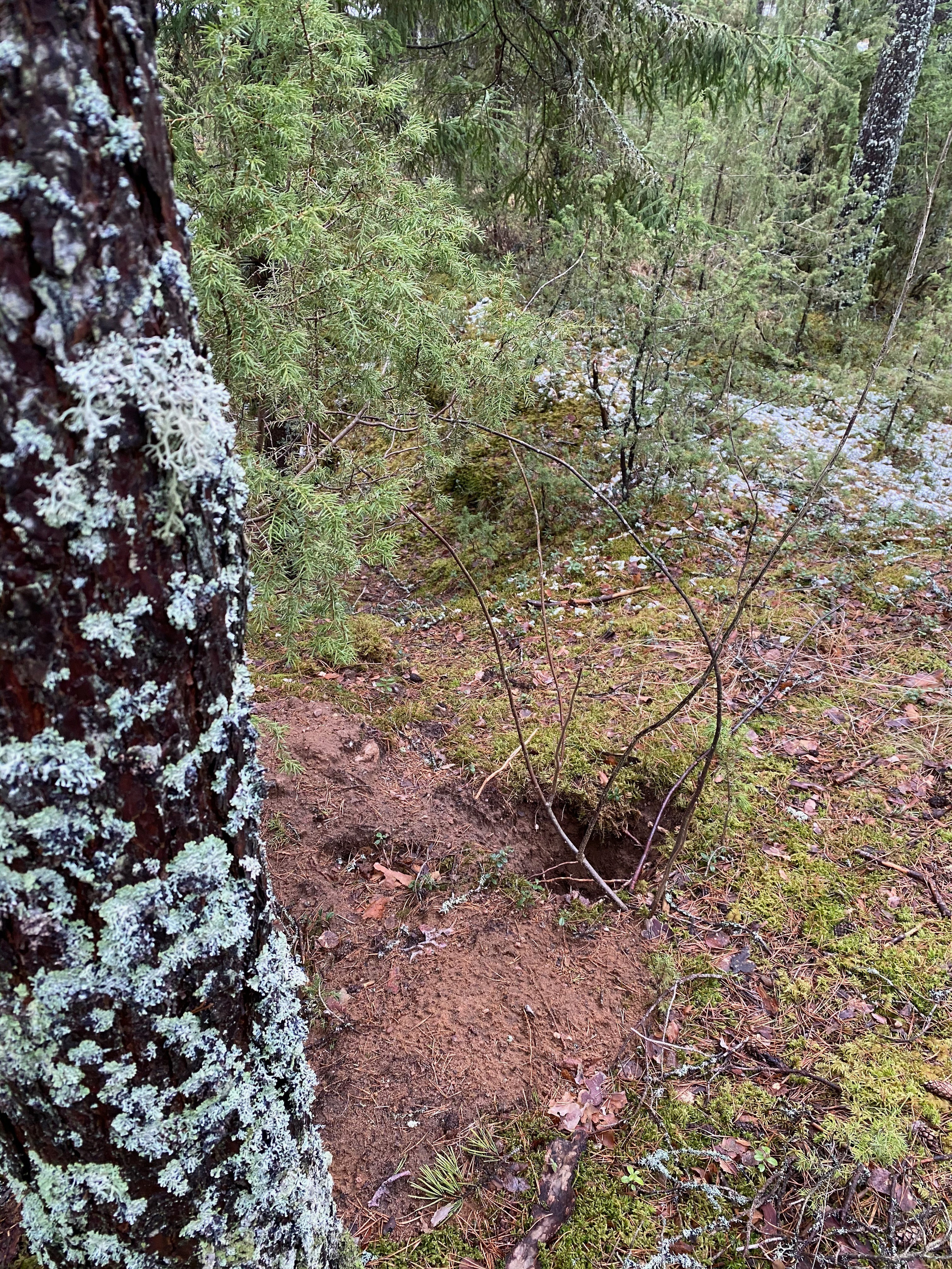 Вокруг Селигера-20. Своя Мастерская