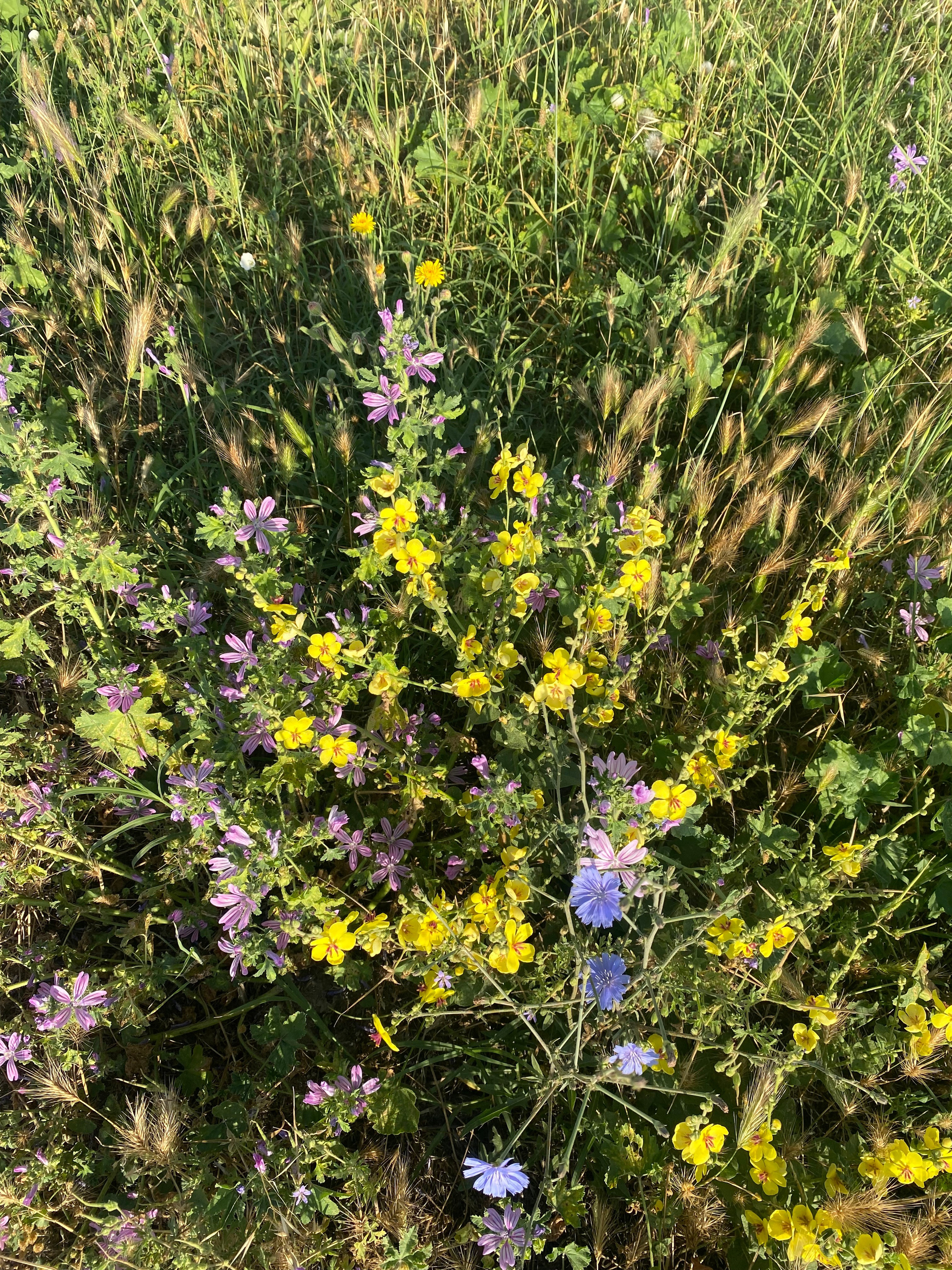 Равда, Несебр — 21. Своя Мастерская