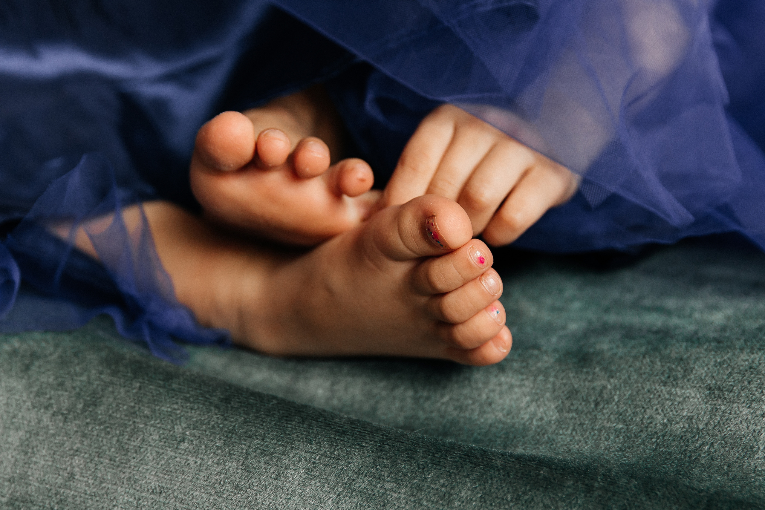 Студийные с попугаем. Свадебный и семейный фотограф в Москве Холда Тати