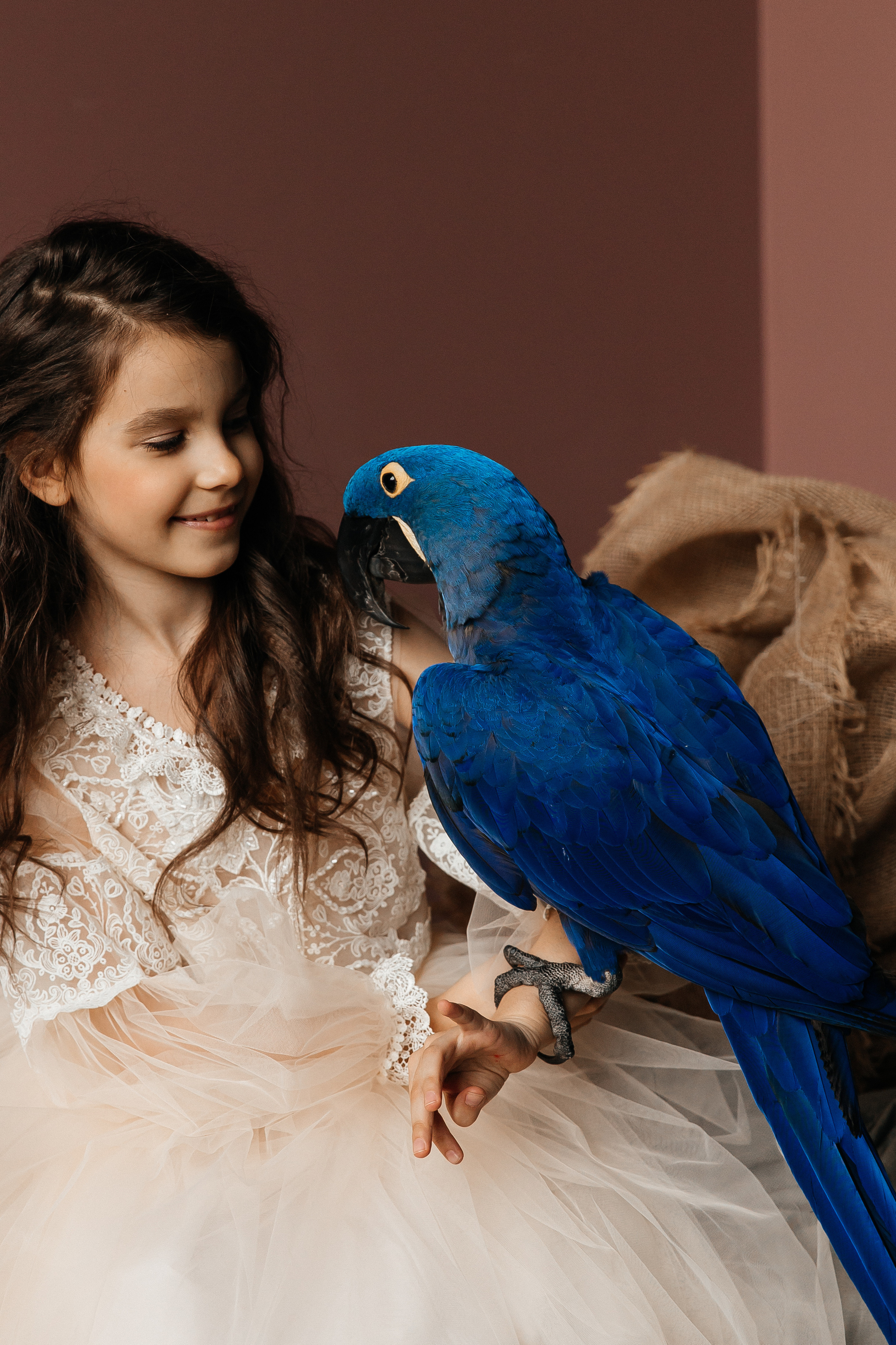 Студийные с попугаем. Свадебный и семейный фотограф в Москве Холда Тати