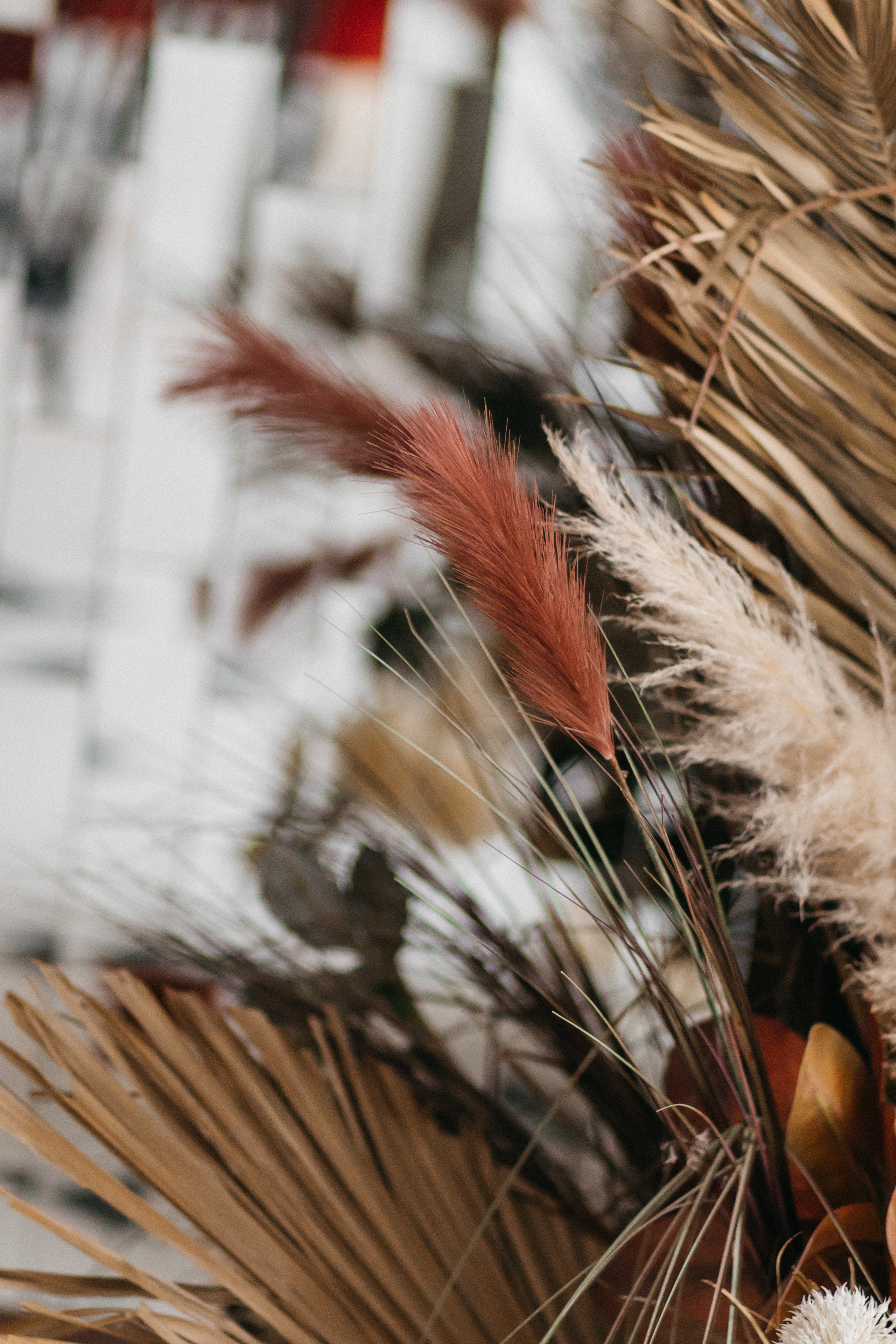 Индивидуальная съемка Света. Свадебный и семейный фотограф в Москве Холда Тати