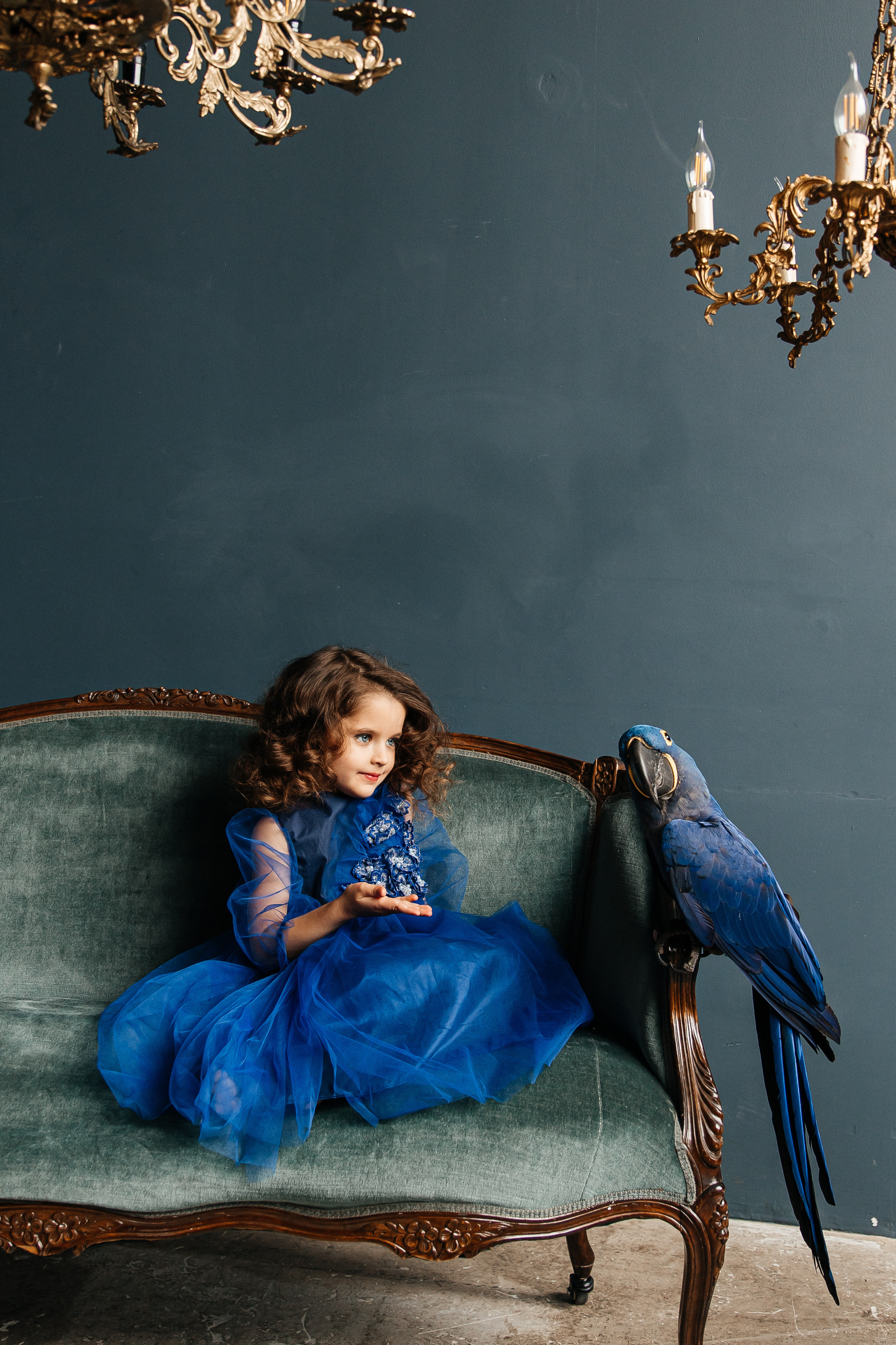 Студийные с попугаем. Свадебный и семейный фотограф в Москве Холда Тати