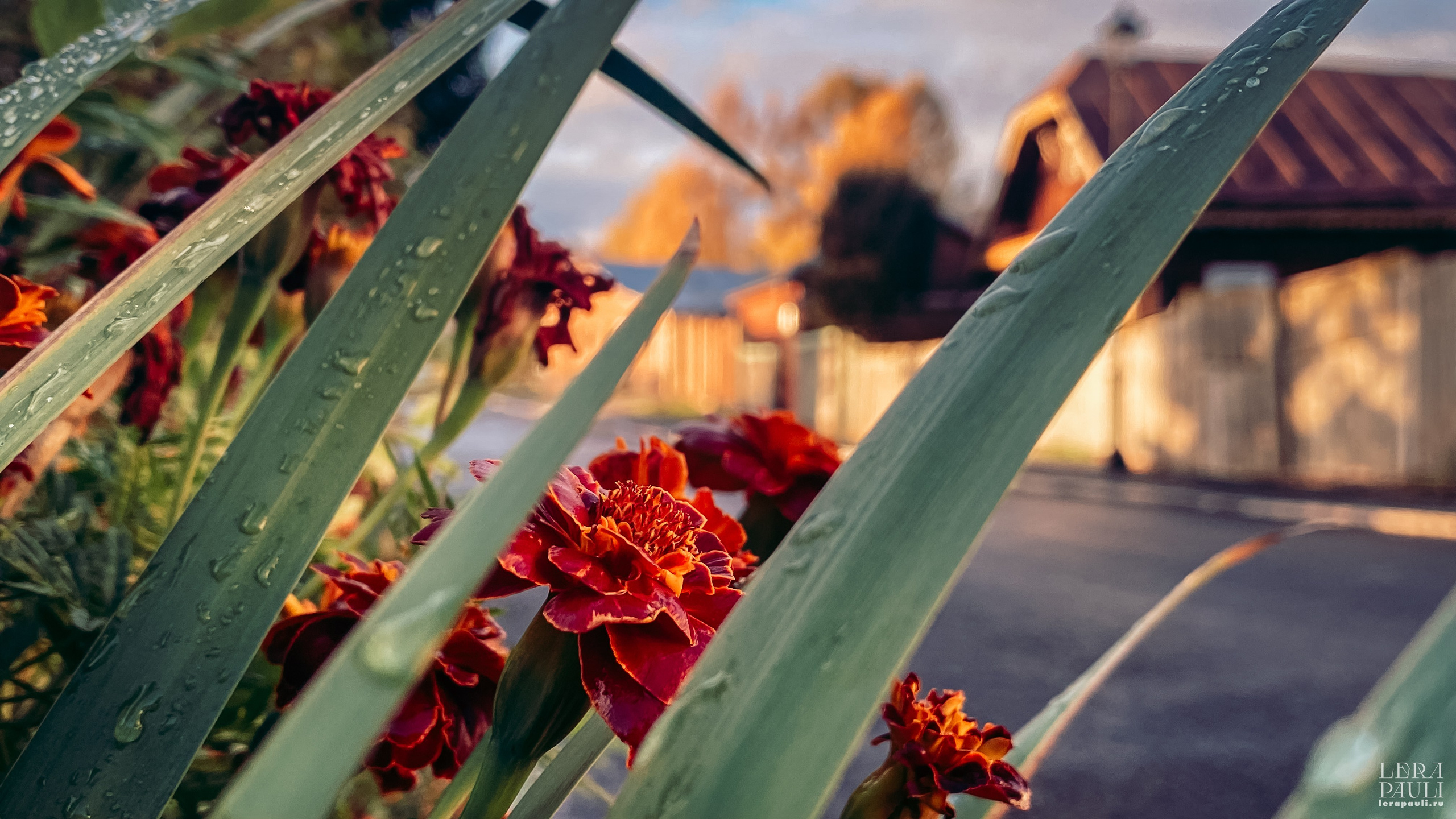 Суздаль. Главная