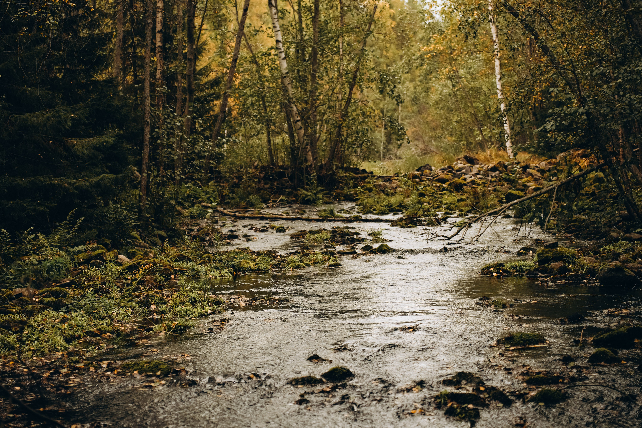 СЕВЕР. Event фотограф Степанова Александра