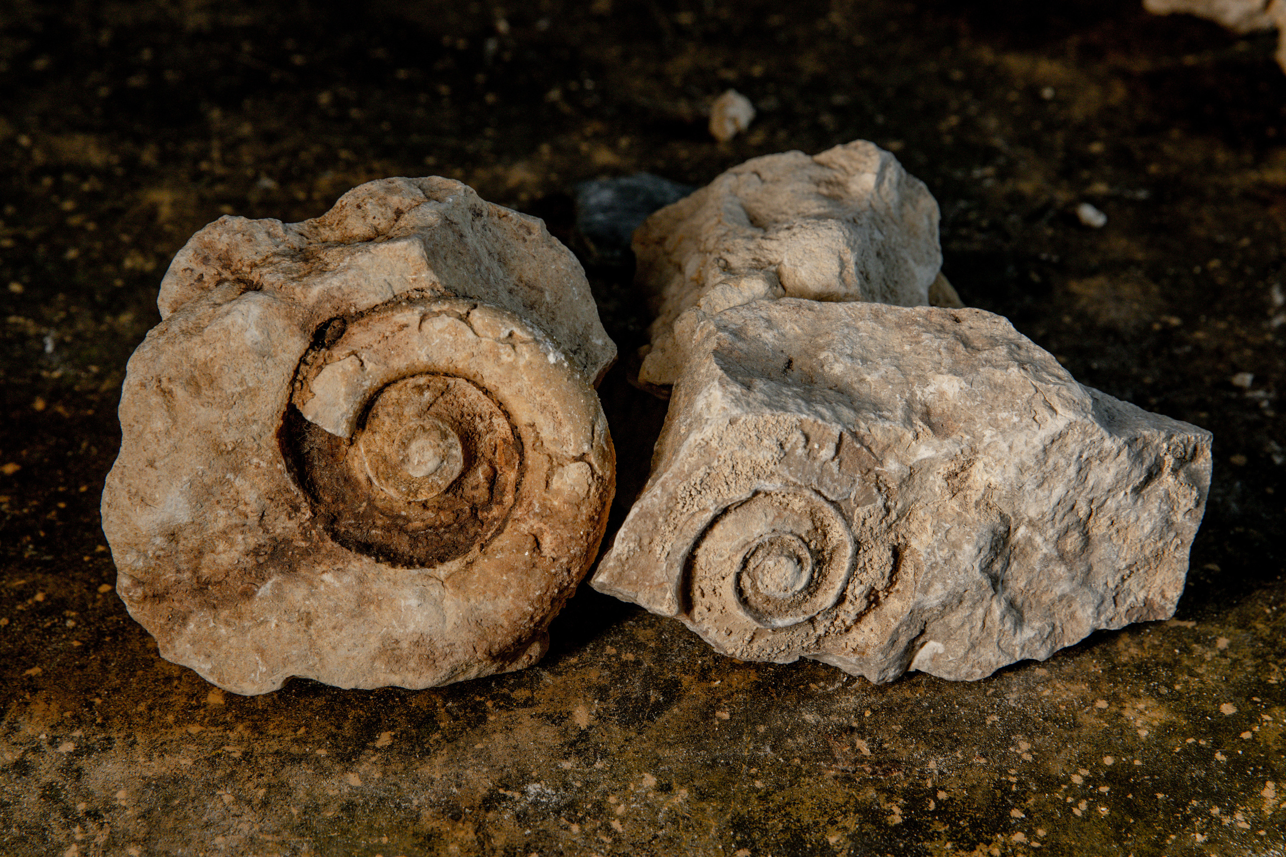 Безусловная свобода. 26.08.22, Калуга, ТИЦ. Фотограф Виталий Верескун. Козельск-Калуга