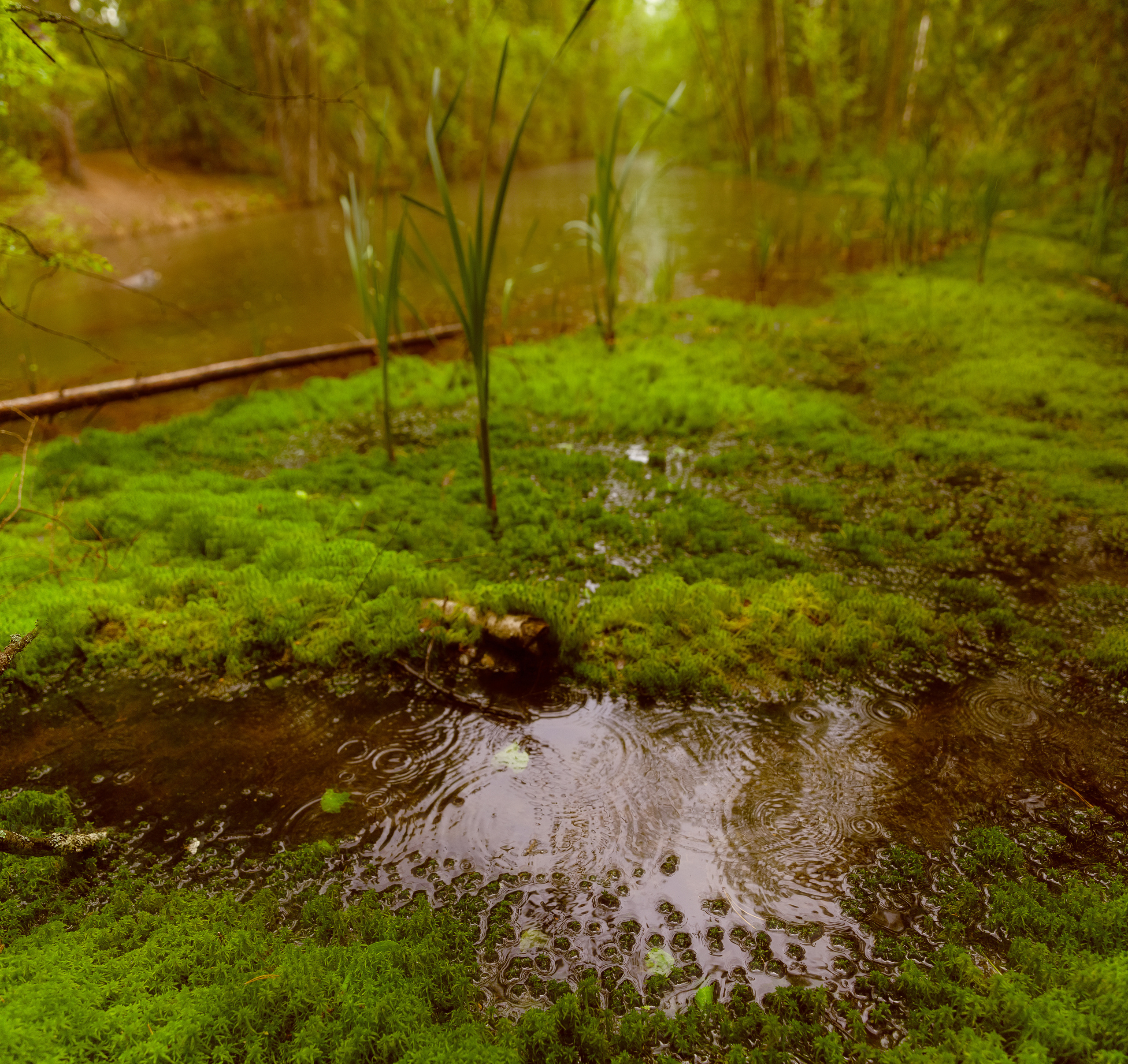 Безусловная свобода. 26.08.22, Калуга, ТИЦ. Фотограф Виталий Верескун. Козельск-Калуга
