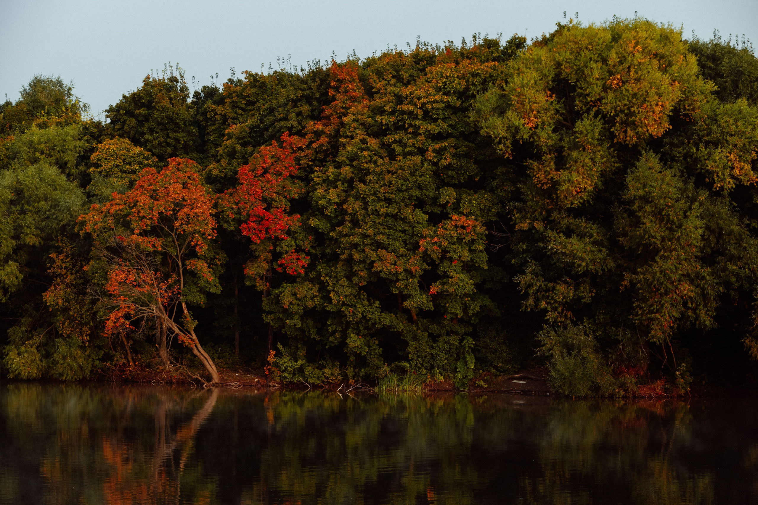 Безусловная свобода. 26.08.22, Калуга, ТИЦ. Фотограф Виталий Верескун. Козельск-Калуга