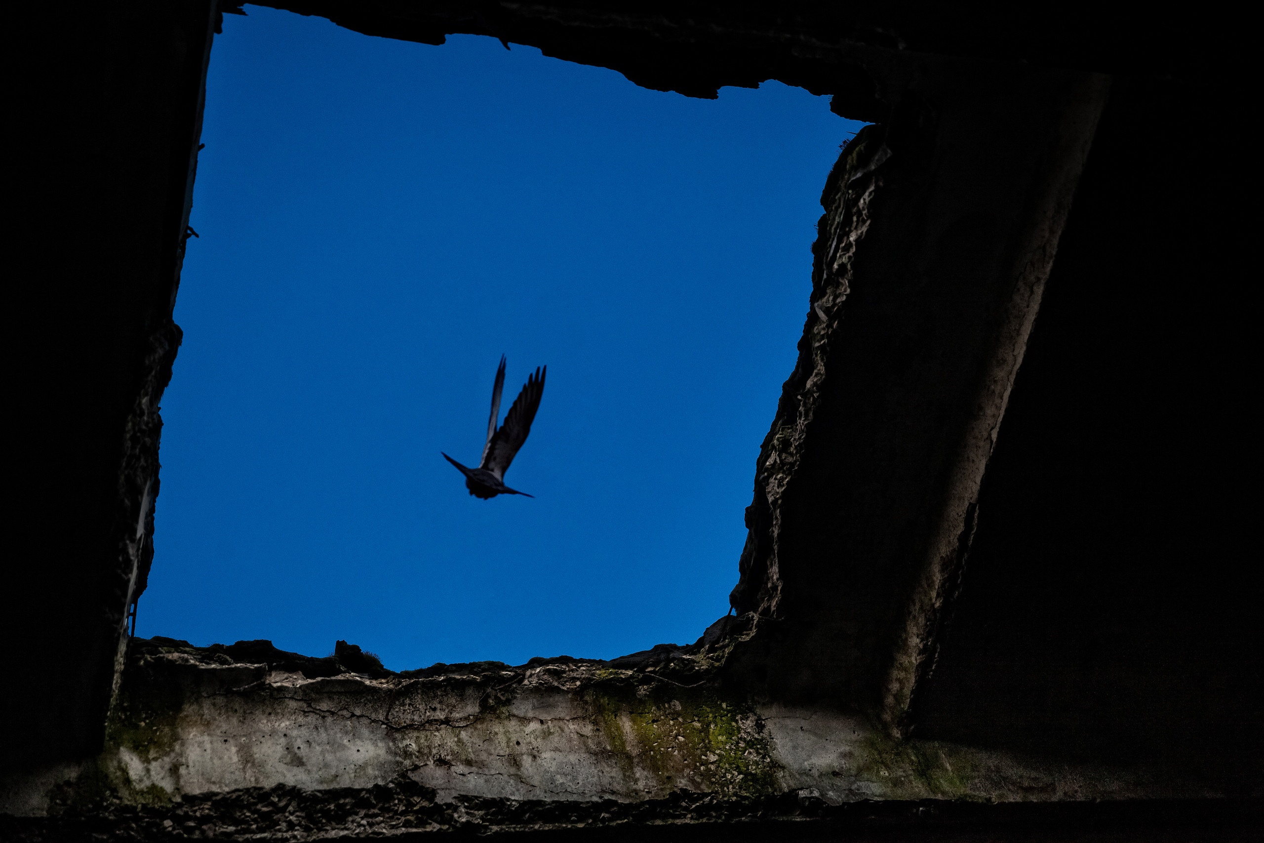 Безусловная свобода. 26.08.22, Калуга, ТИЦ. Фотограф Виталий Верескун. Козельск-Калуга
