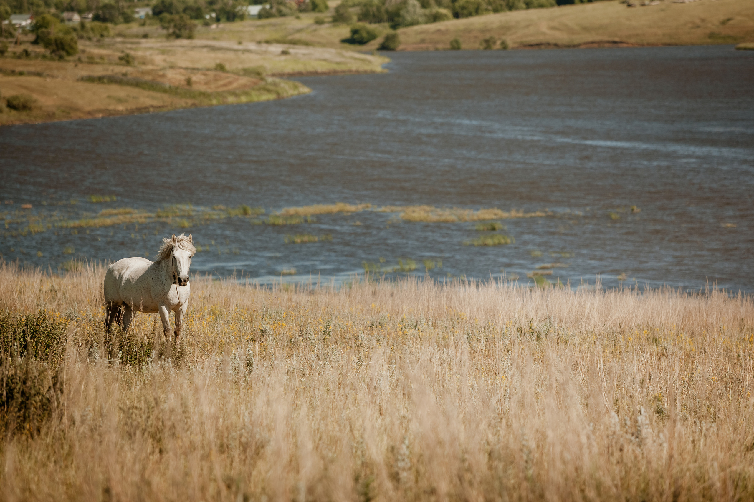 Безусловная свобода. 26.08.22, Калуга, ТИЦ. Фотограф Виталий Верескун. Козельск-Калуга