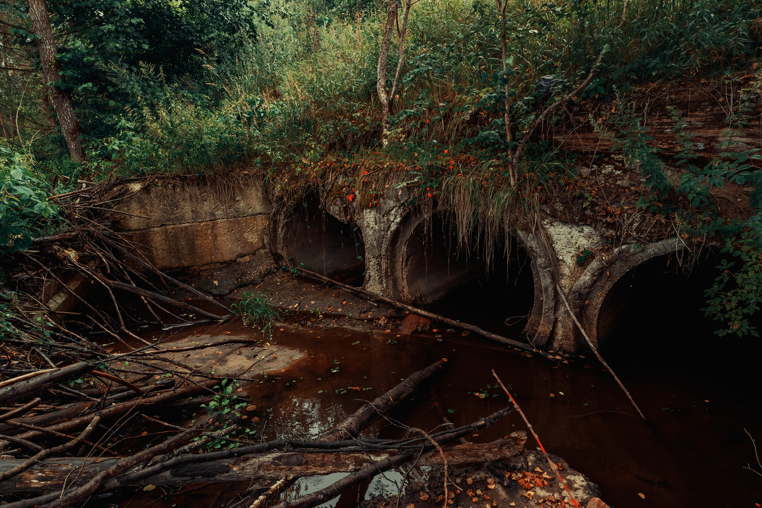 Безусловная свобода. 26.08.22, Калуга, ТИЦ. Фотограф Виталий Верескун. Козельск-Калуга