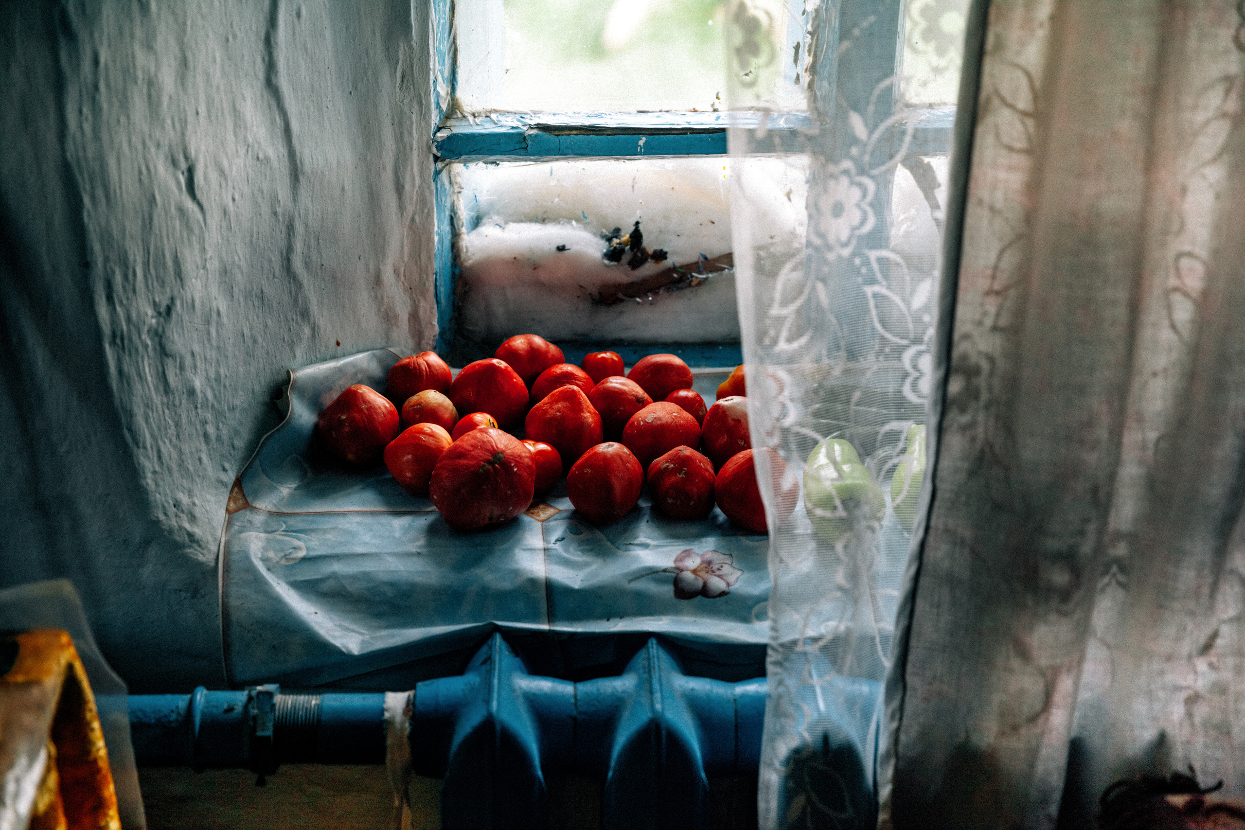 Безусловная свобода. 26.08.22, Калуга, ТИЦ. Фотограф Виталий Верескун. Козельск-Калуга