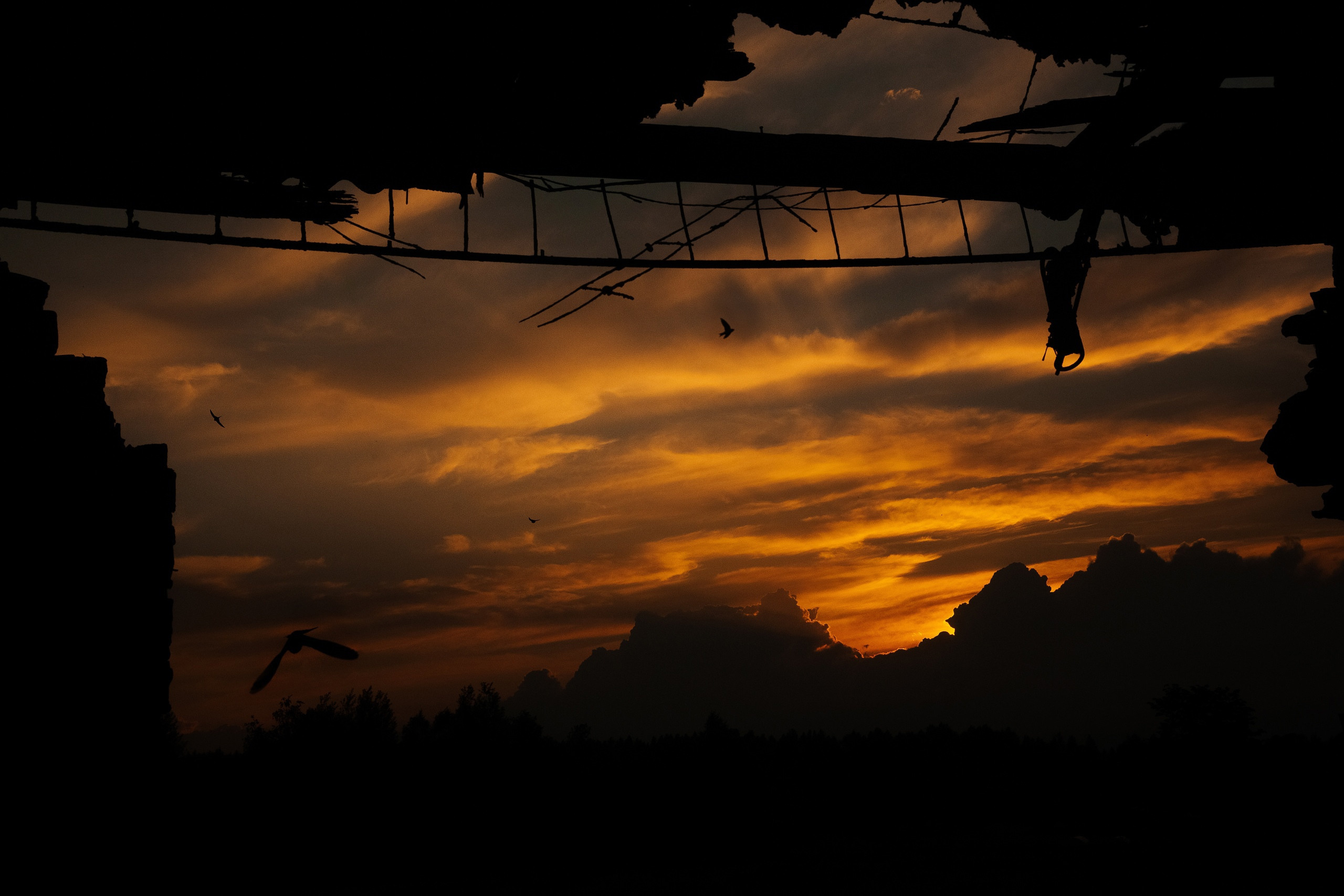 Безусловная свобода. 26.08.22, Калуга, ТИЦ. Фотограф Виталий Верескун. Козельск-Калуга