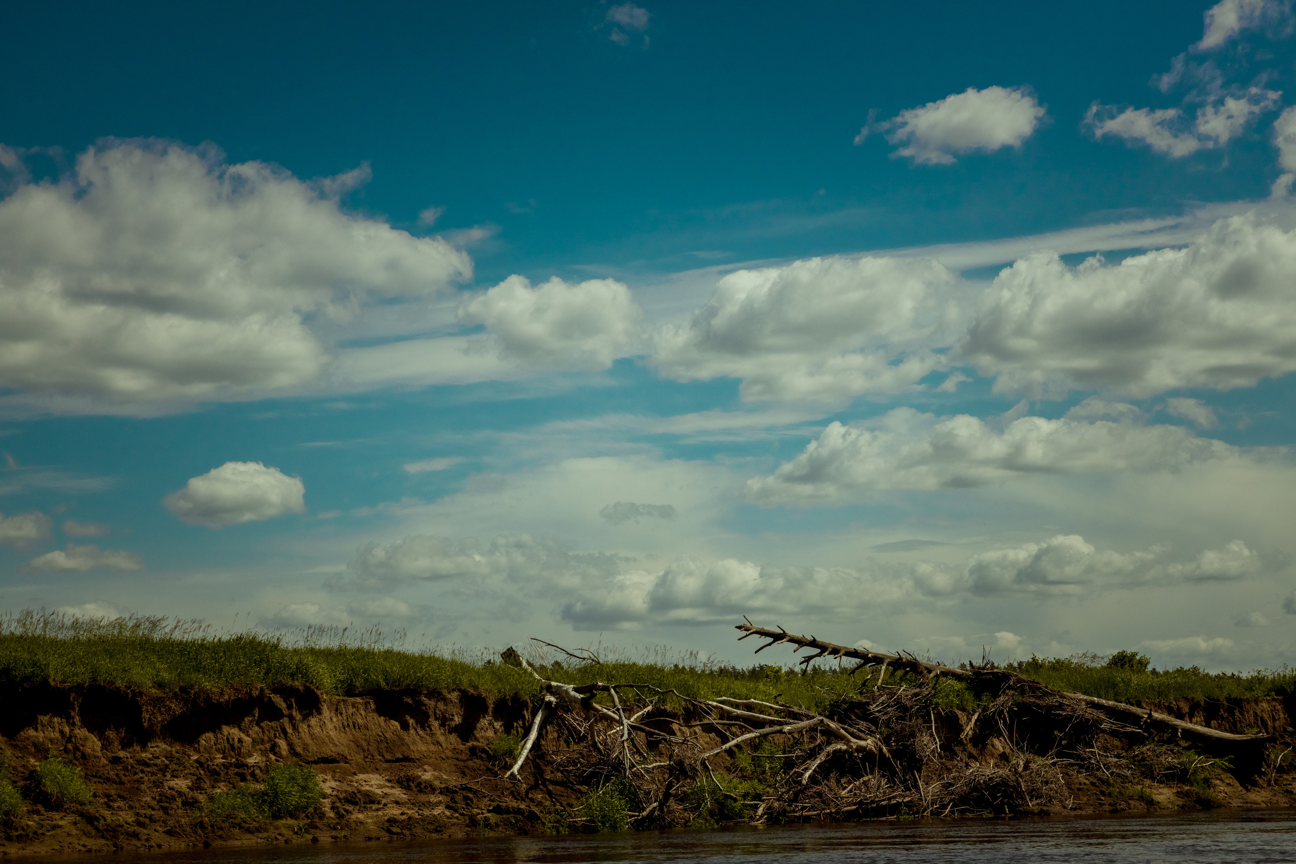 Безусловная свобода. 26.08.22, Калуга, ТИЦ. Фотограф Виталий Верескун. Козельск-Калуга