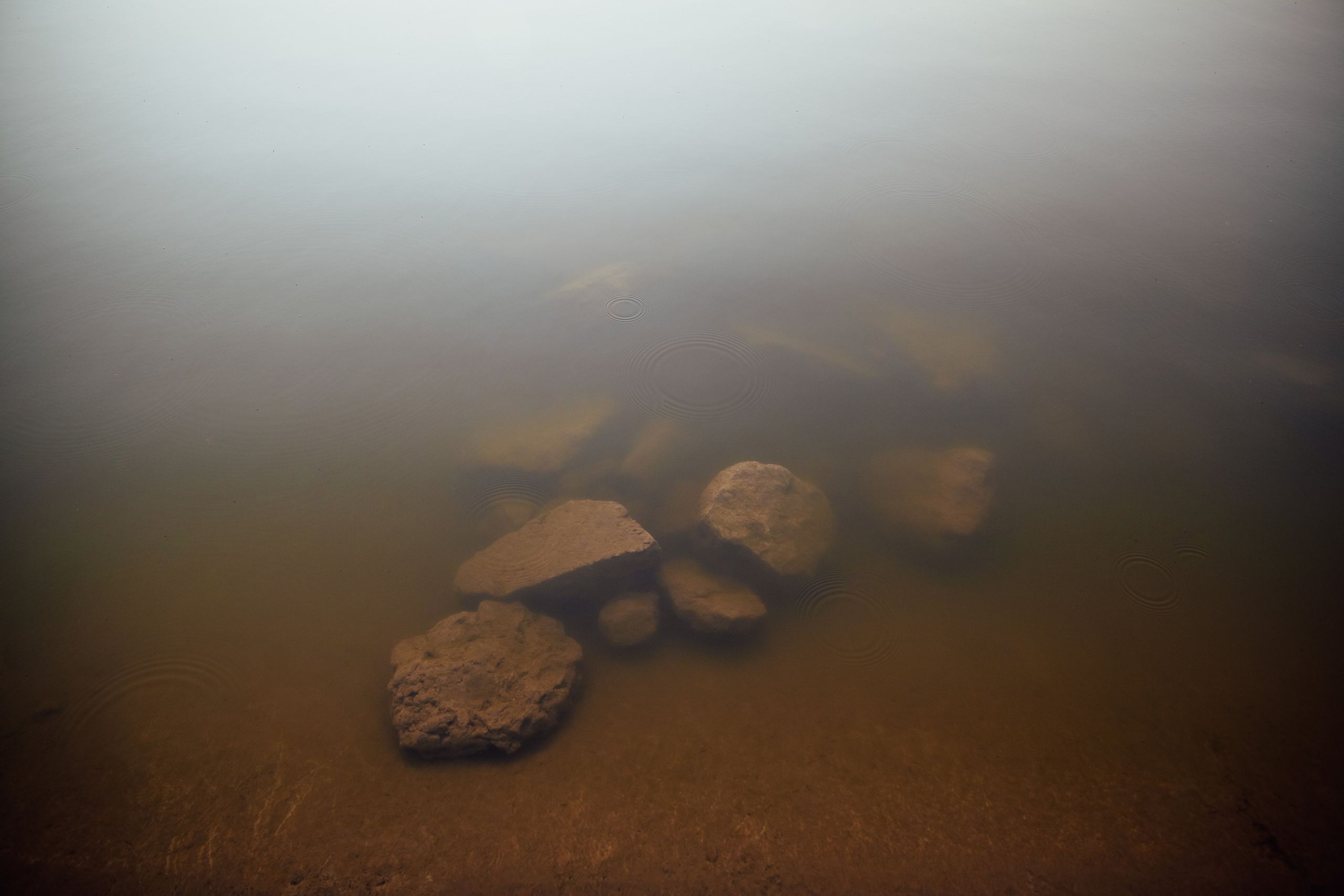 Безусловная свобода. 26.08.22, Калуга, ТИЦ. Фотограф Виталий Верескун. Козельск-Калуга