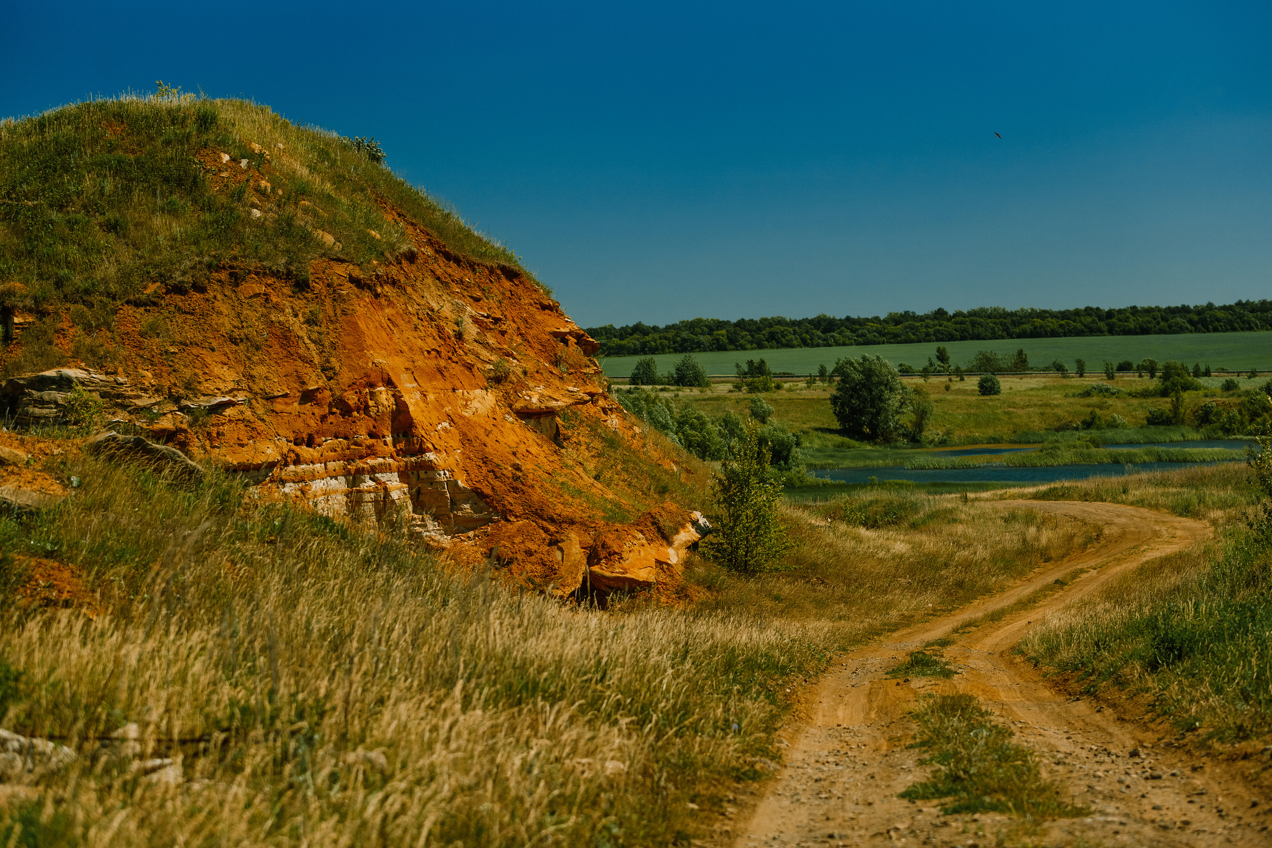 Безусловная свобода. 26.08.22, Калуга, ТИЦ. Фотограф Виталий Верескун. Козельск-Калуга