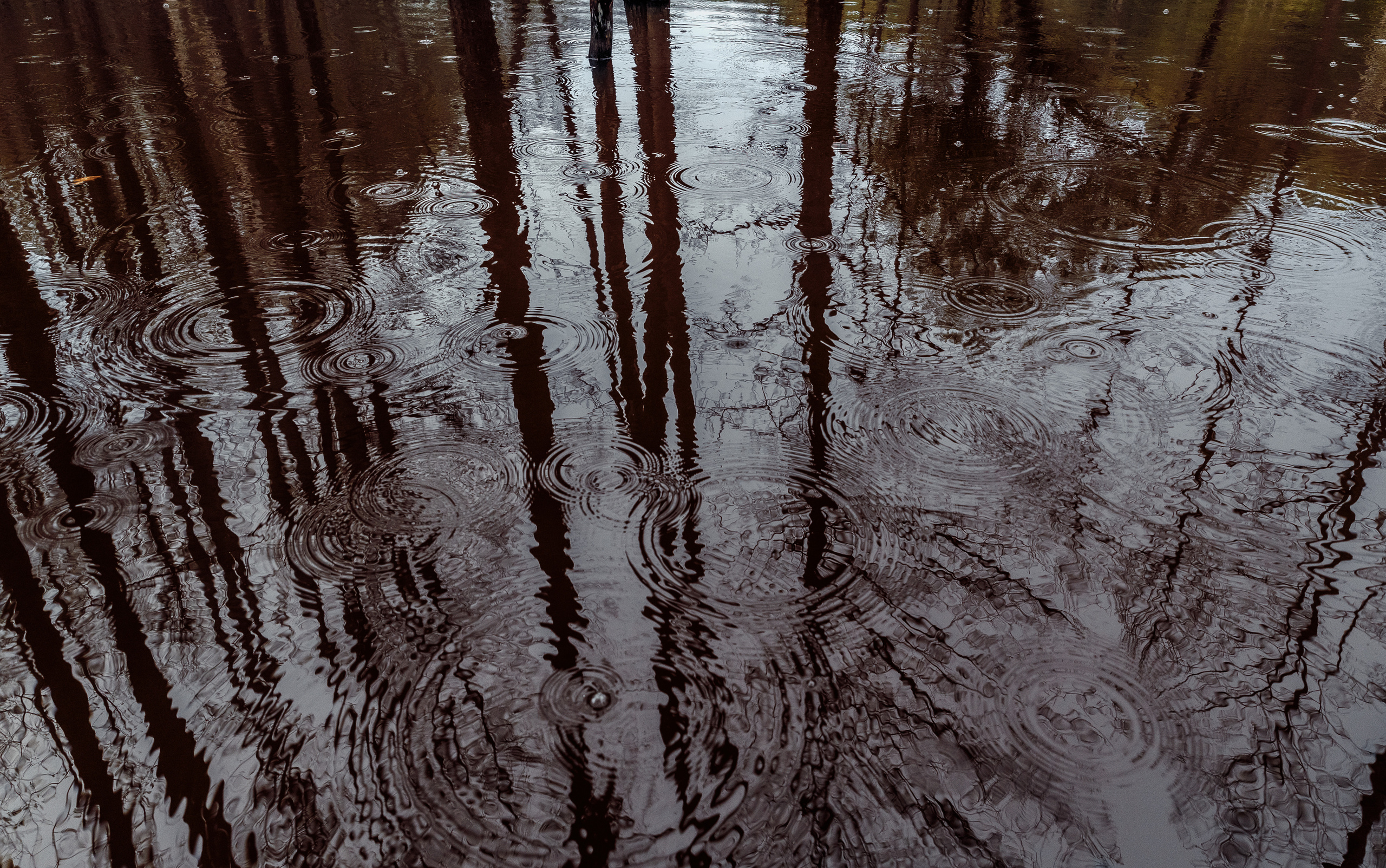 Безусловная свобода. 26.08.22, Калуга, ТИЦ. Фотограф Виталий Верескун. Козельск-Калуга