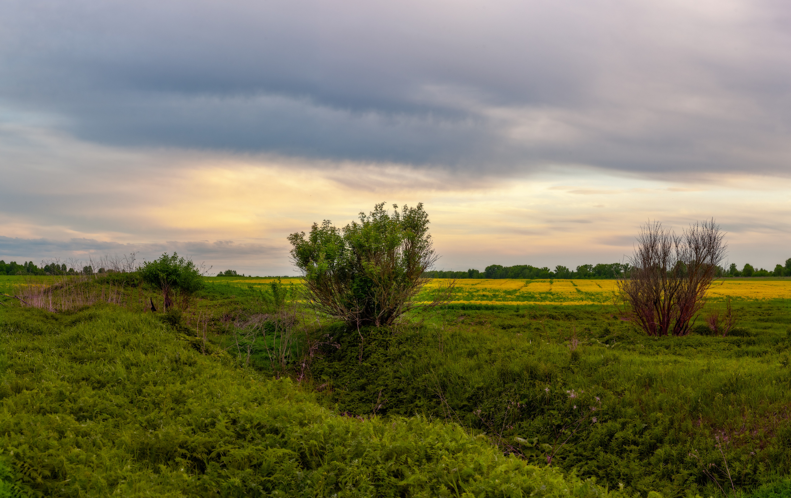 Безусловная свобода. 26.08.22, Калуга, ТИЦ. Фотограф Виталий Верескун. Козельск-Калуга