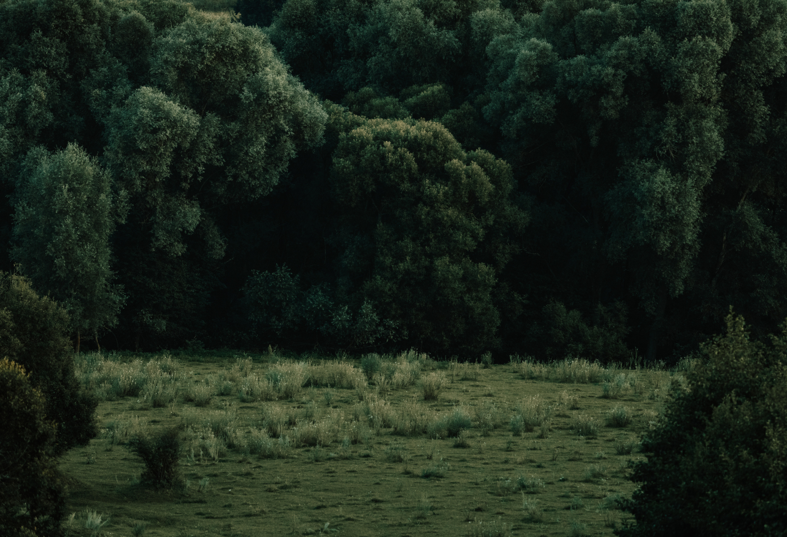 Безусловная свобода. 26.08.22, Калуга, ТИЦ. Фотограф Виталий Верескун. Козельск-Калуга