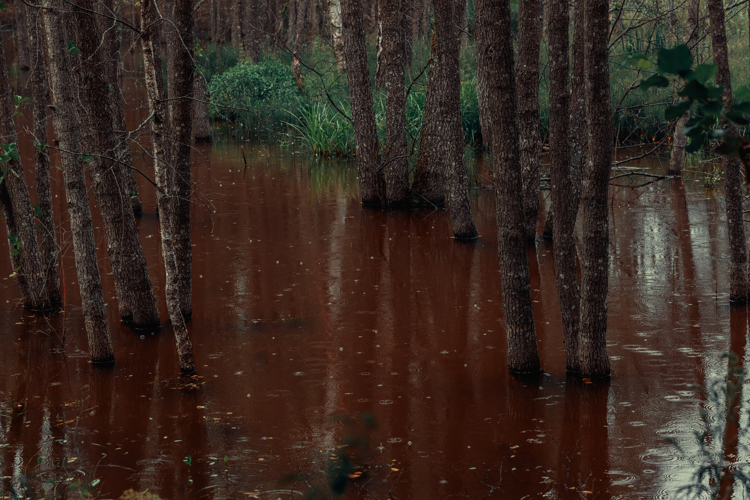 Безусловная свобода. 26.08.22, Калуга, ТИЦ. Фотограф Виталий Верескун. Козельск-Калуга